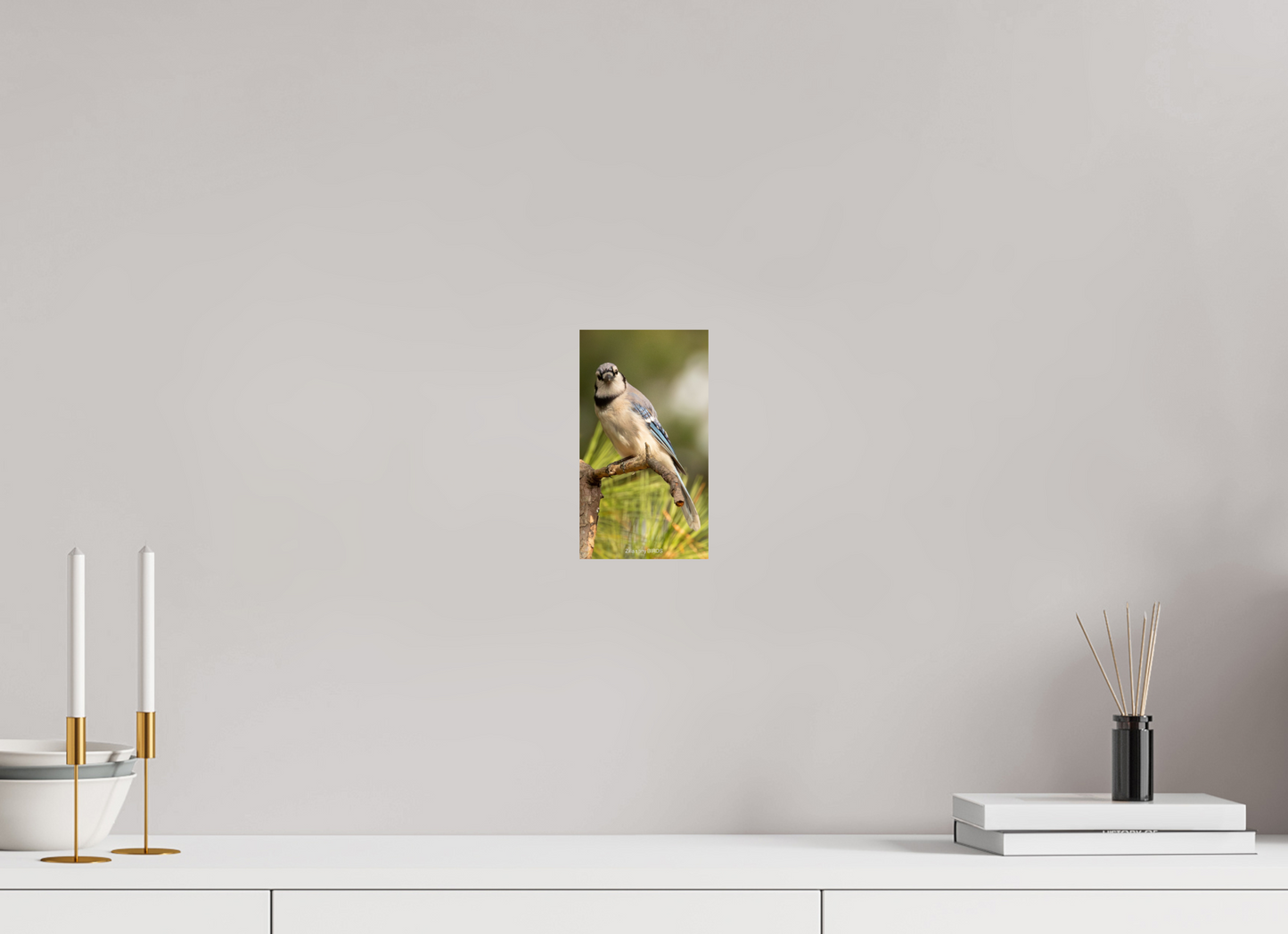 4.5 x 8″, Photo Print On Fuji Crystal DP II Zillas Zoom Image 494