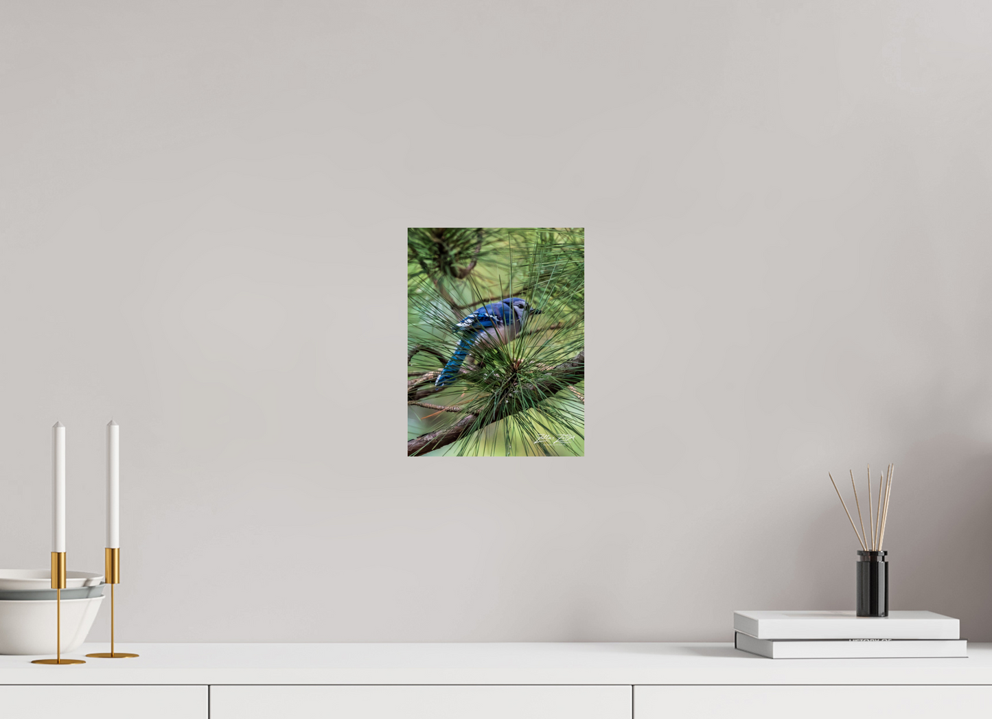 8 x 10.4″, Photo Print On Fuji Crystal DP II Zillas Zoom Image 457