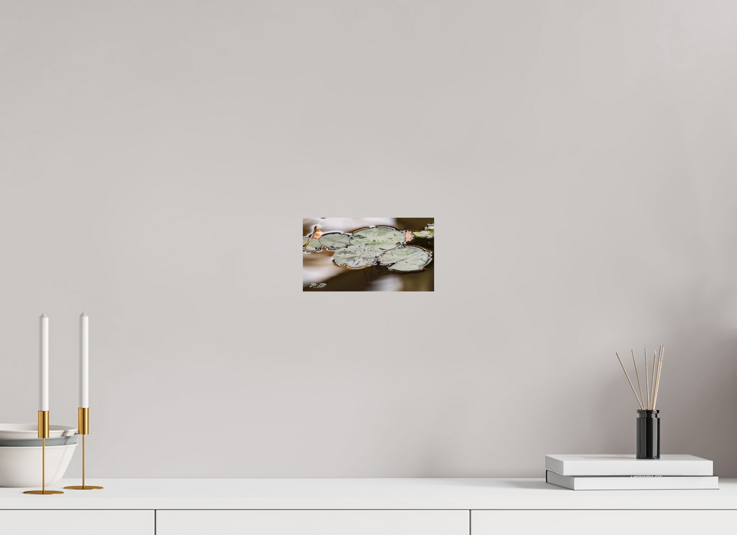 8 x 4.5″, Photo Print On Fuji Crystal DP II Zillas Zoom Image 89