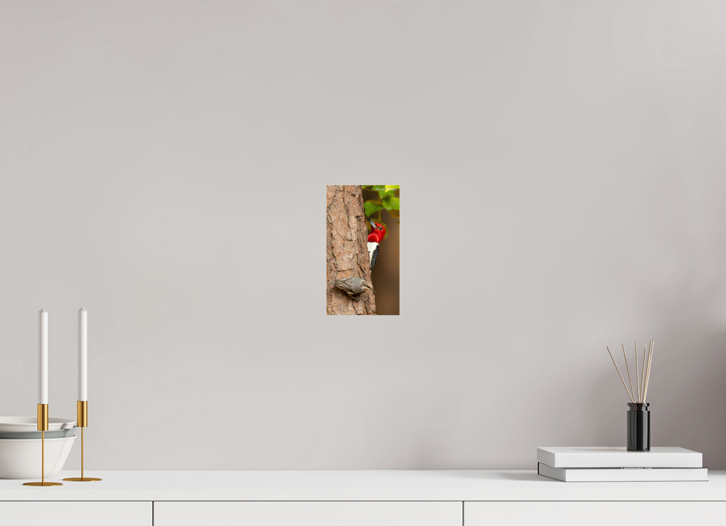 4.5 x 8″, Photo Print Under Acrylic Glass Zillas Zoom Image 490