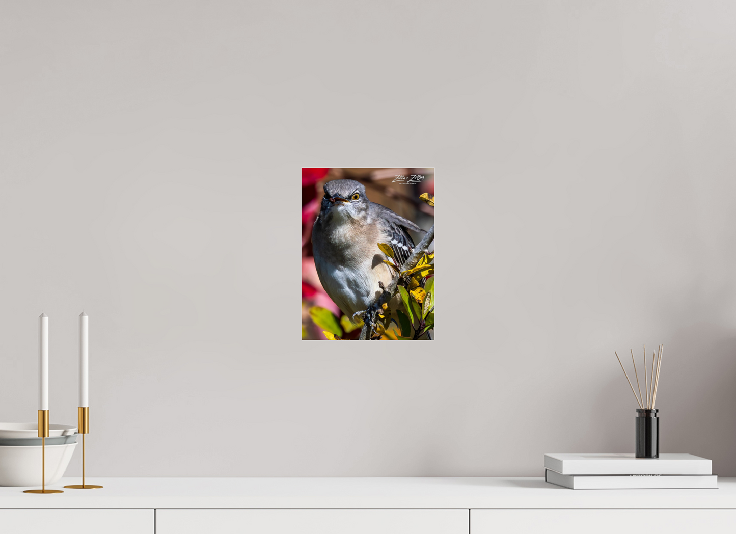 8 x 10.4″, Photo Print Under Acrylic Glass Zillas Zoom Image 402