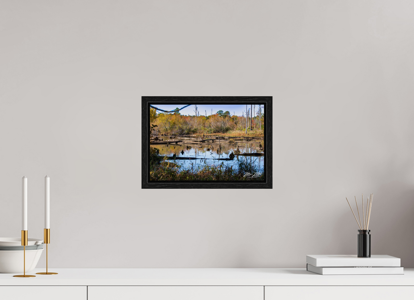 12 x 8″, Floater Frame Zillas Zoom Image 205