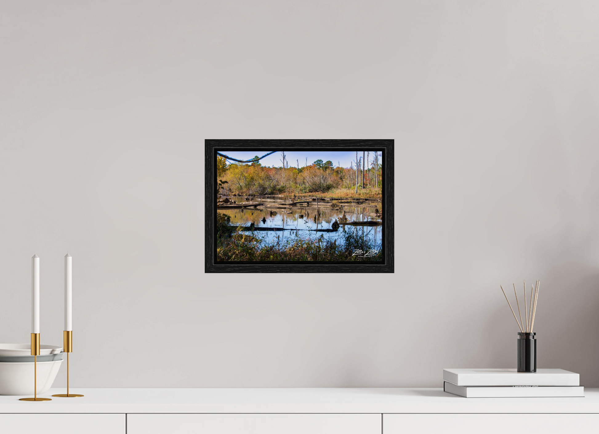 12 x 8″, Floater Frame Zillas Zoom Image 205
