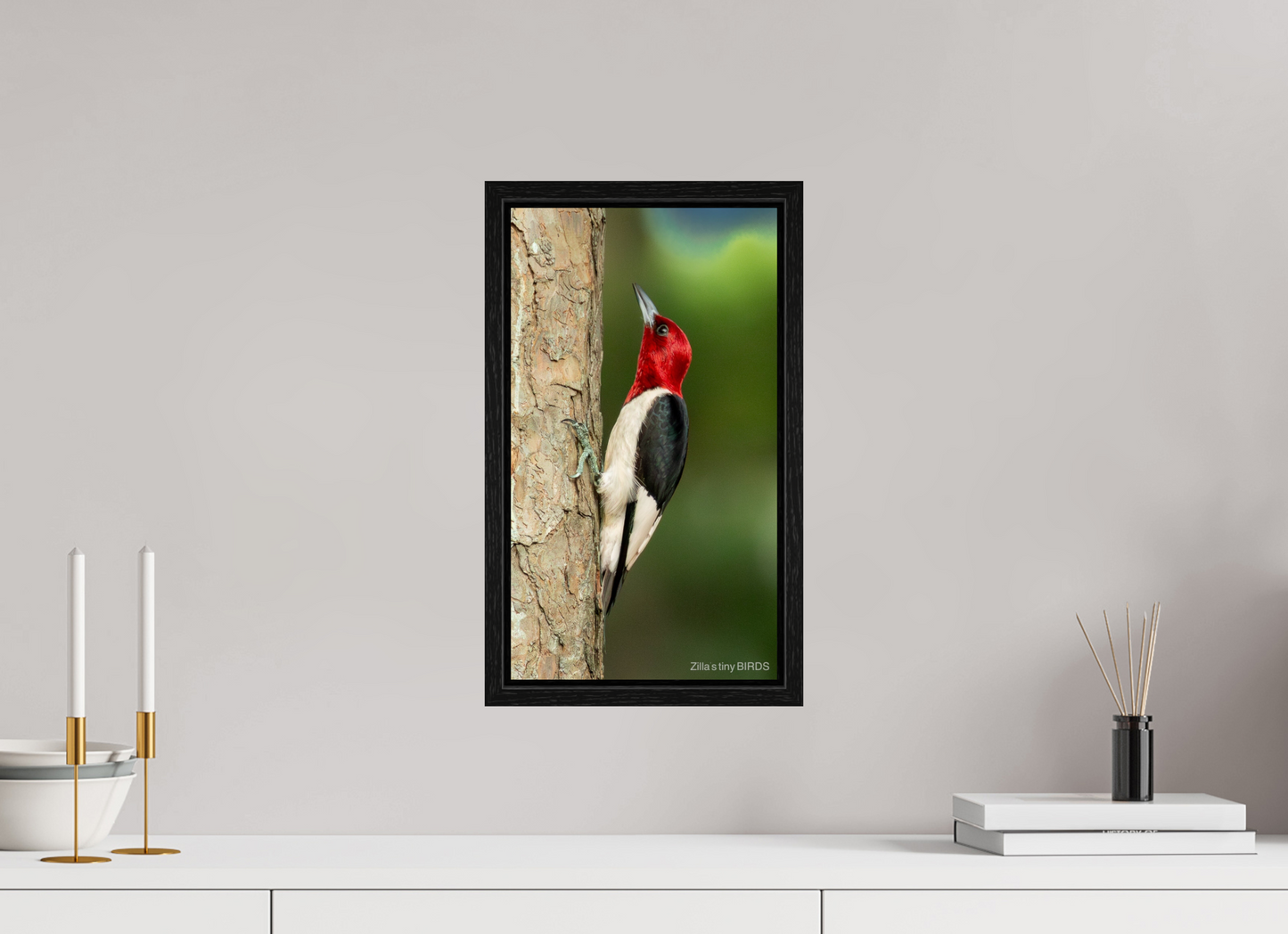 9 x 16″, Floater Frame Zillas Zoom Image 492