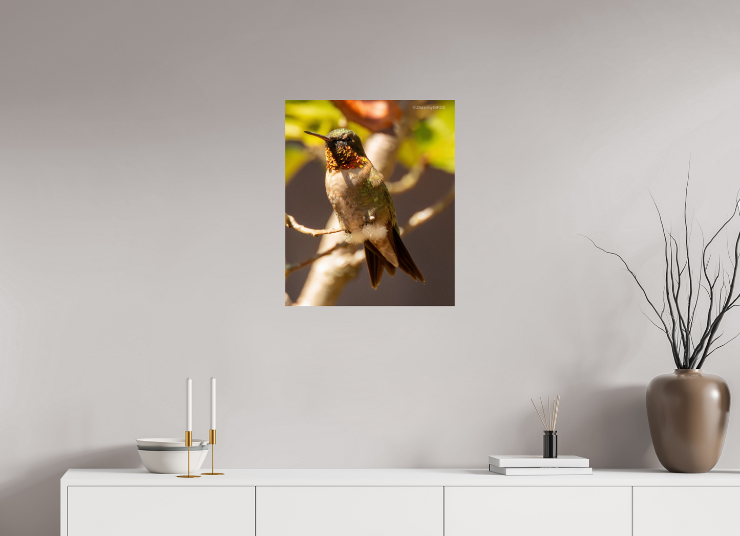 20 x 24.4″, Photo Print On Fuji Crystal DP II Zillas Zoom Image 454