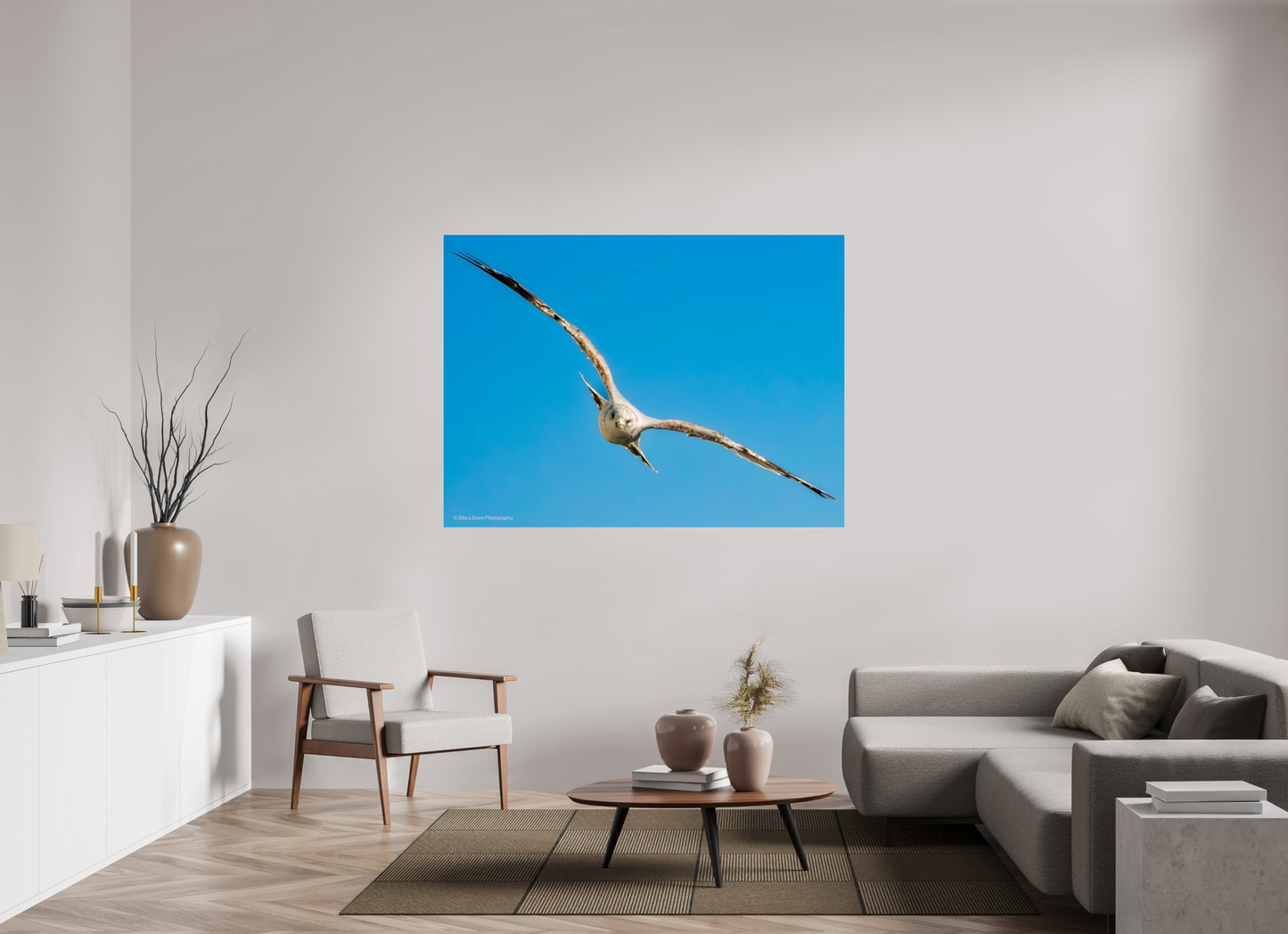 64.4 x 47″, Photo Print Under Acrylic Glass Zillas Zoom Image 365