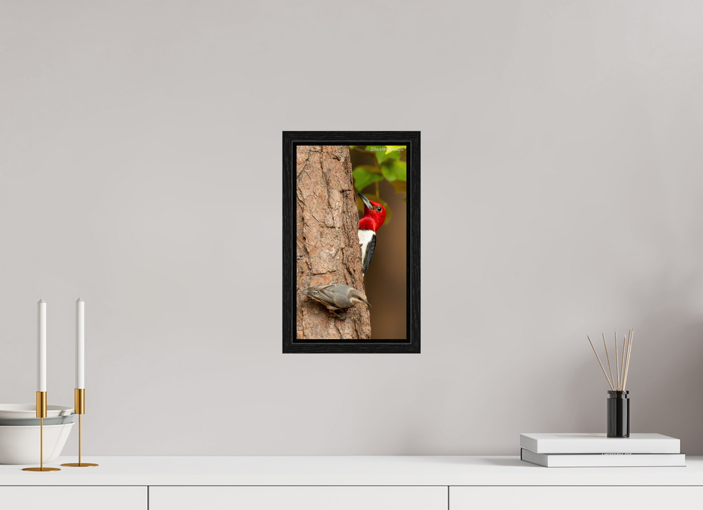 6.8 x 12″, Floater Frame Zillas Zoom Image 490