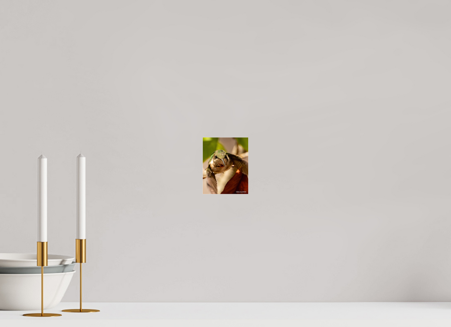 4 x 5″, Photo Print Under Acrylic Glass Zillas Zoom Image 504