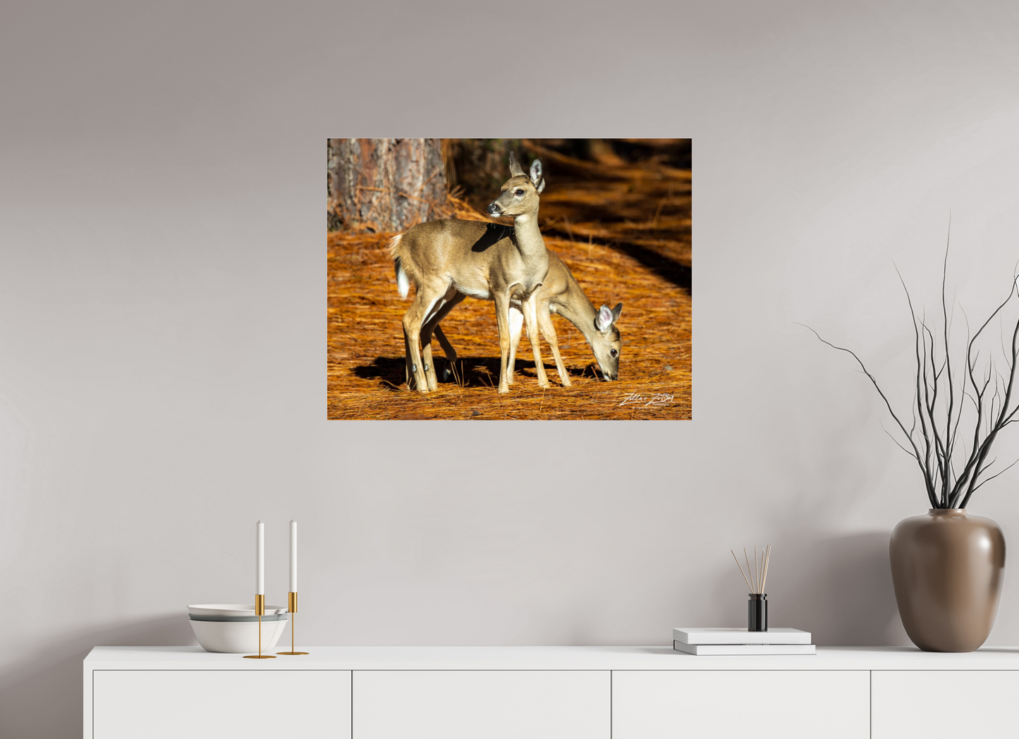 31.1 x 24″, Photo Print Under Acrylic Glass Zillas zoom image 144