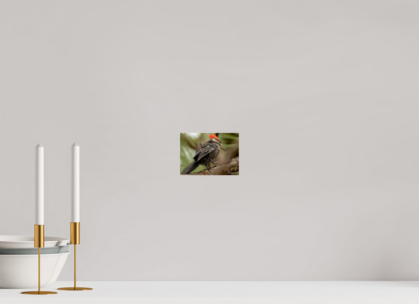 5.6 x 4″, Photo Print Under Acrylic Glass Zillas Zoom Image 333