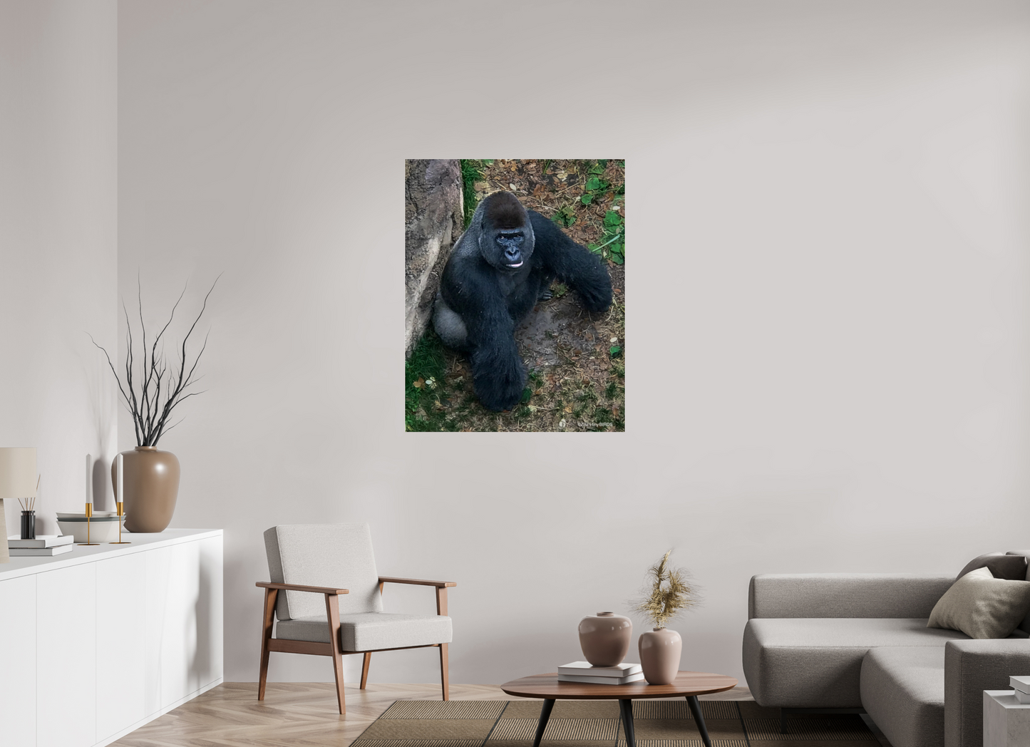 35 x 43.5″, Photo Print Under Acrylic Glass Zillas zoom image 151