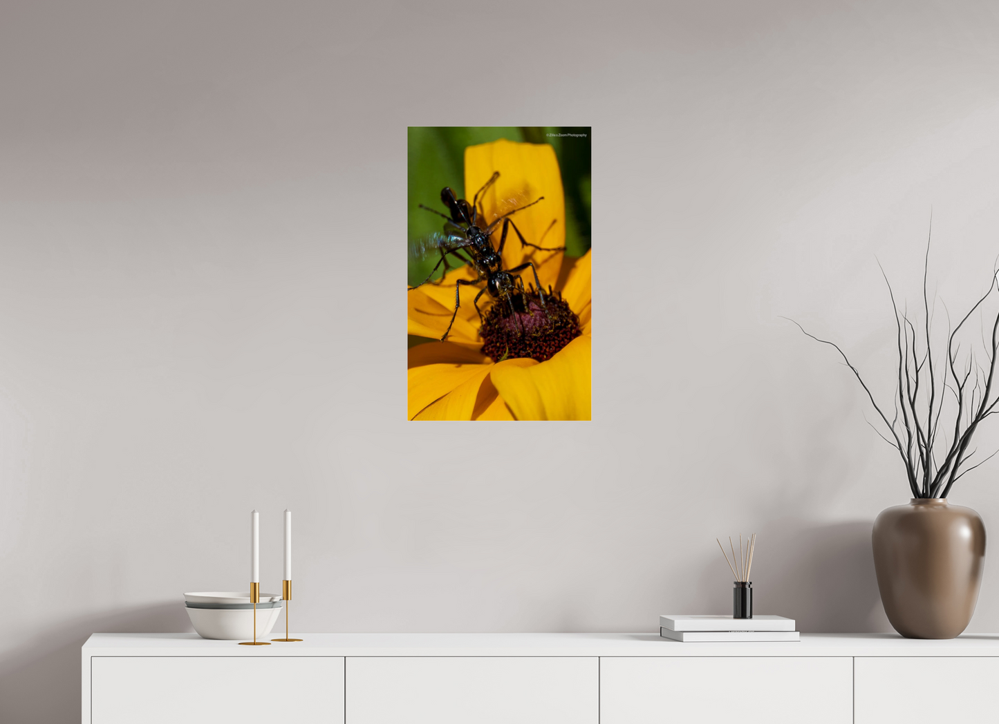16 x 25.6″, Photo Print Under Acrylic Glass Zillas Zoom Image 108