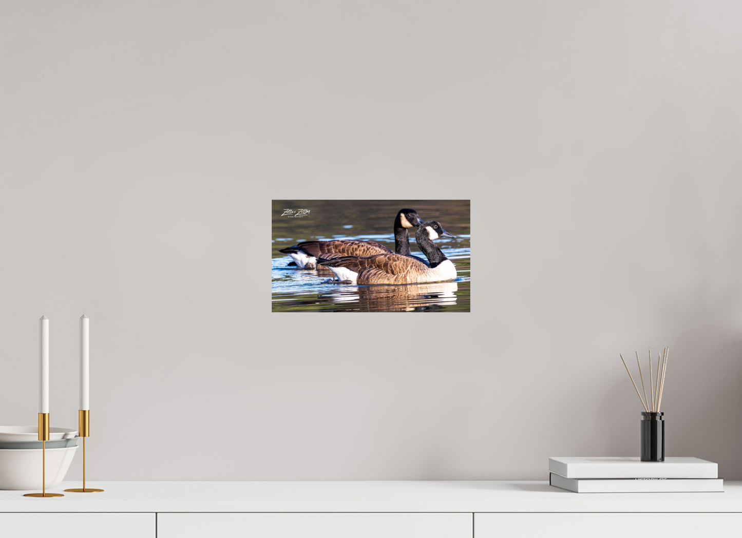 12 x 6.8″, Photo Print On Fuji Crystal DP II Zillas Zoom Image 278
