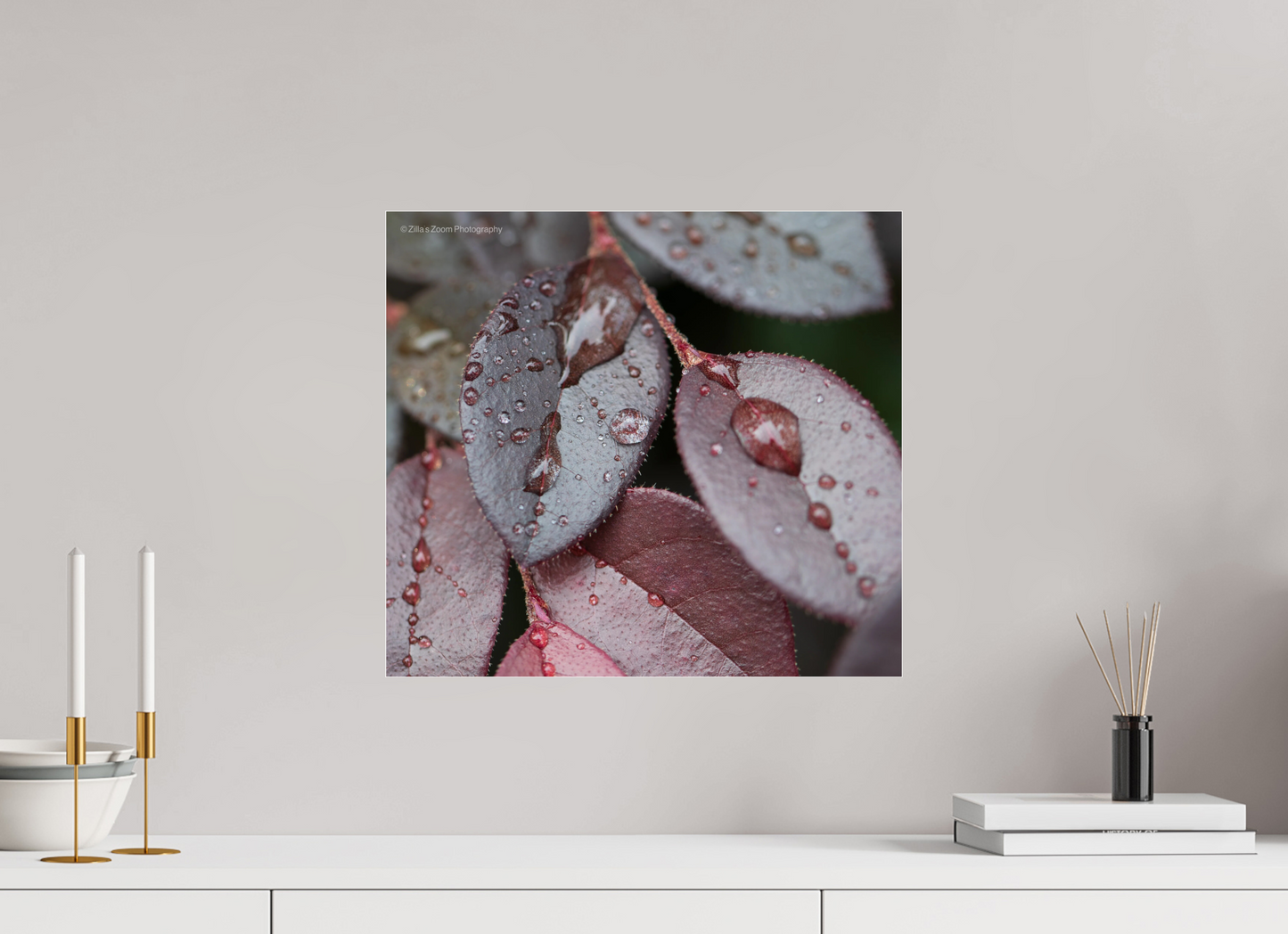 17.7 x 16″, Photo Print Under Acrylic Glass Zillas Zoom Image 99