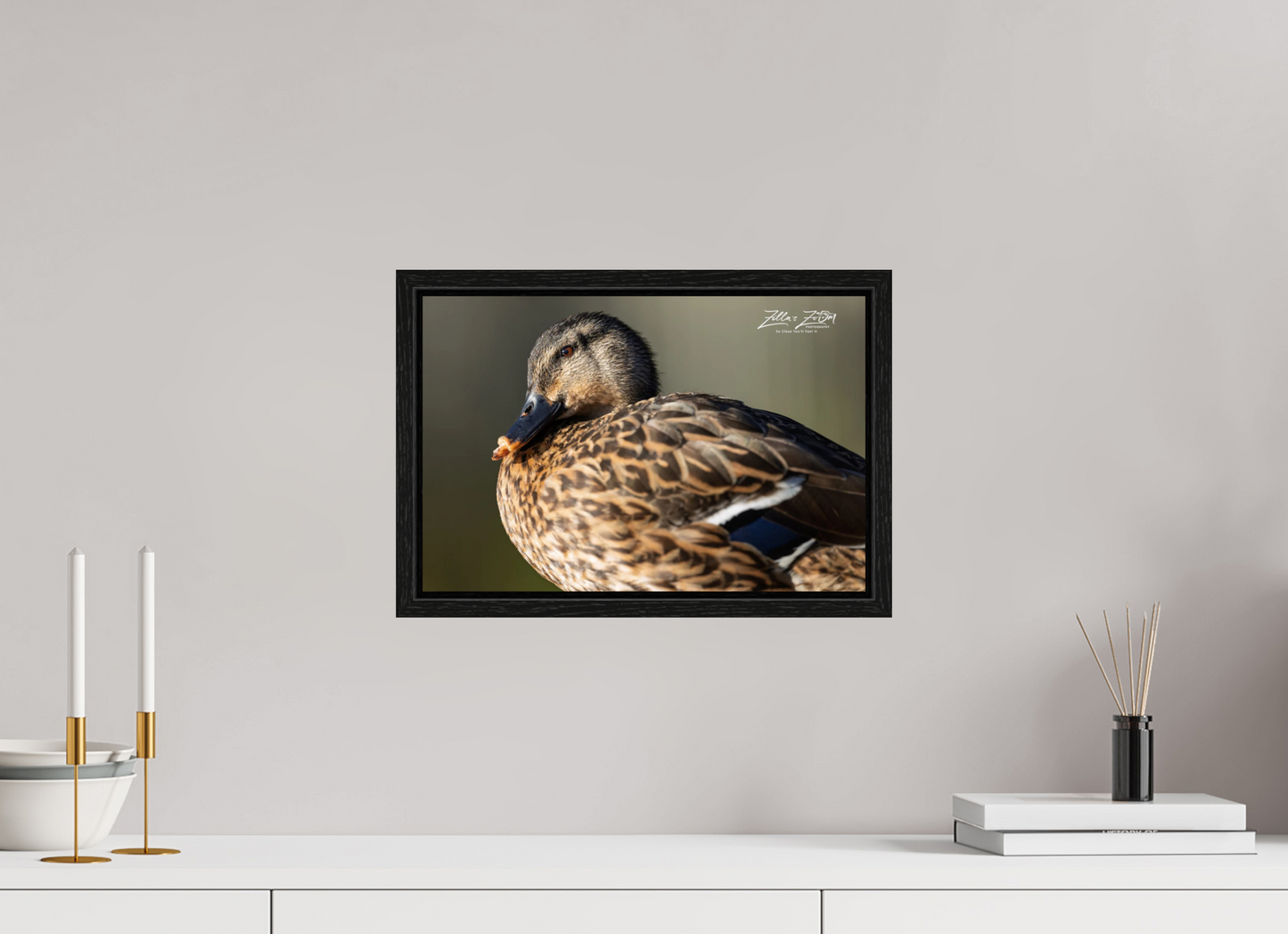 15 x 10″, Floater Frame Zillas Zoom Image 300