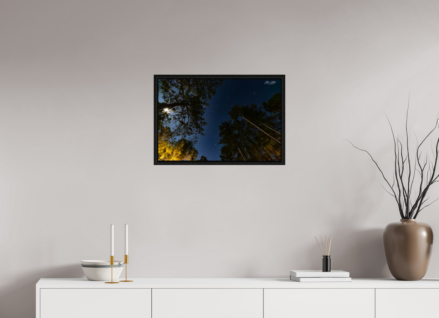 24 x 16″, Floater Frame Zillas zoom image 119
