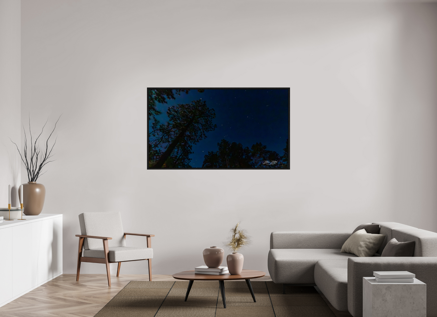64 x 36″, Floater Frame Zillas zoom image 127