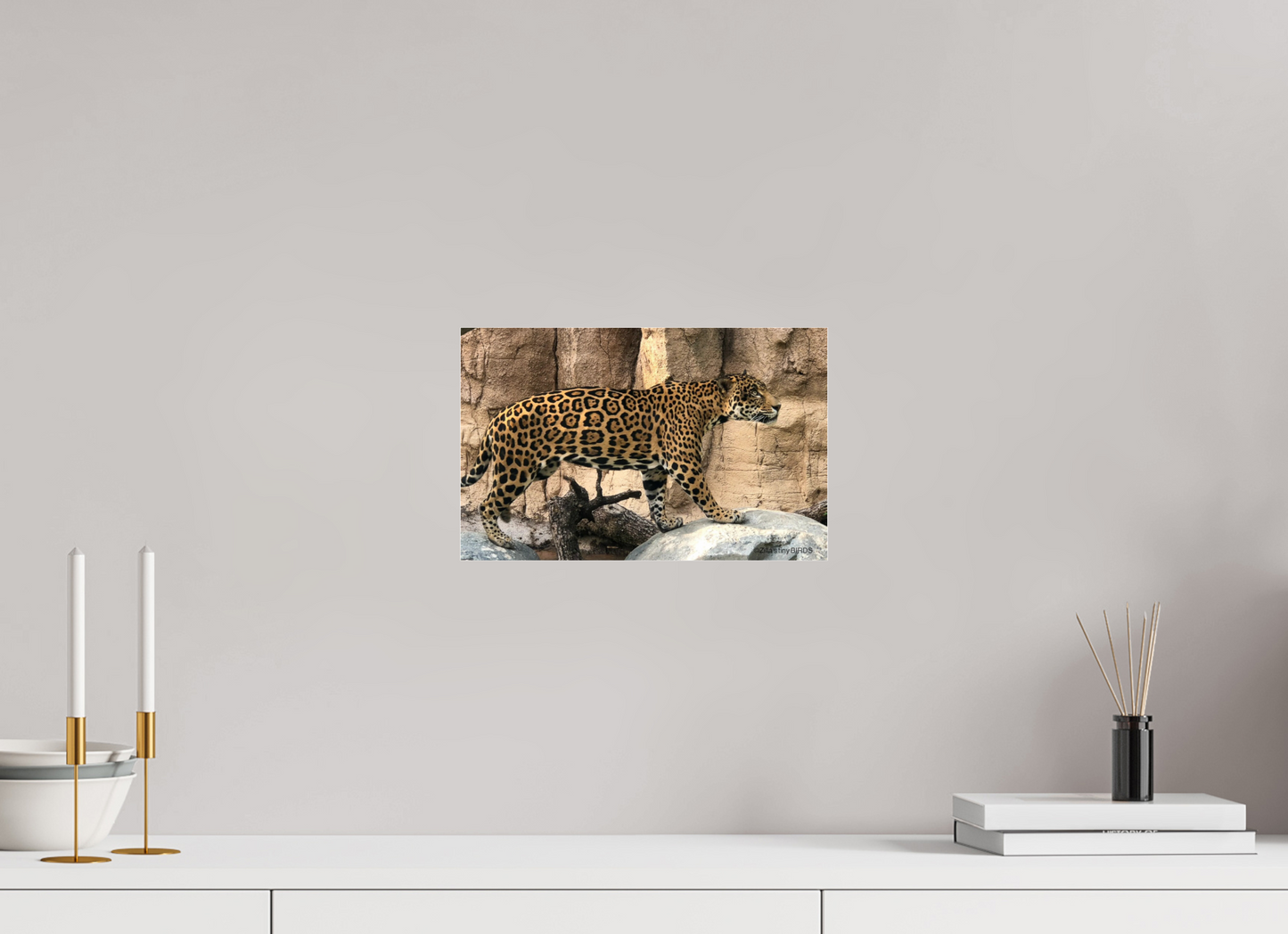 12.6 x 8″, Photo Print Under Acrylic Glass Zillas zoom image 139