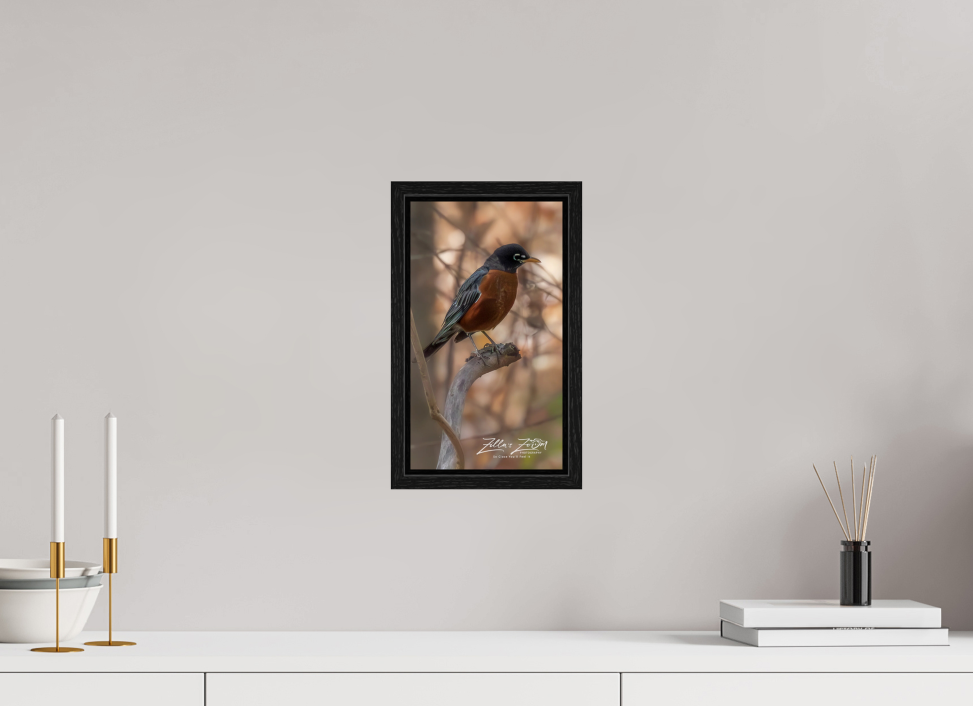 6.8 x 12″, Floater Frame Zillas Zoom Image 414