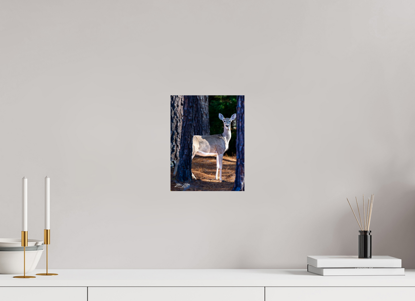8 x 10.4″, Photo Print On Fuji Crystal DP II Zillas zoom image 154