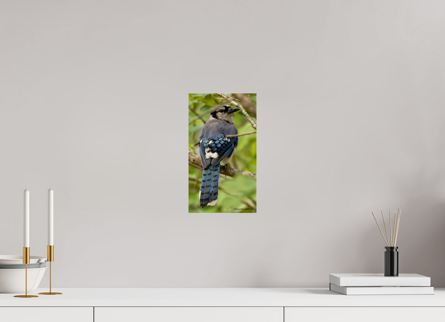 6.8 x 12″, Photo Print Under Acrylic Glass Zillas Zoom Image 485