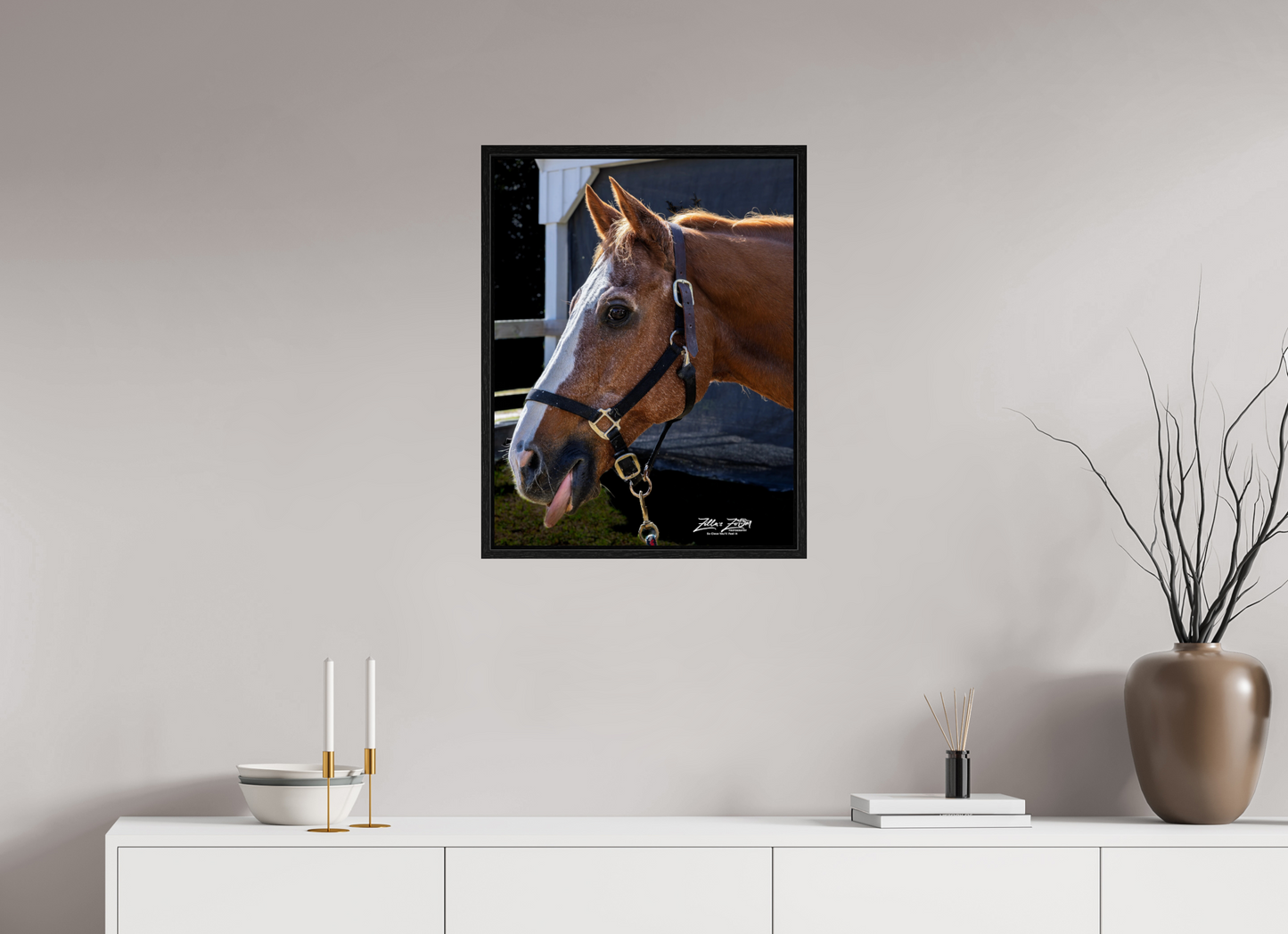 20 x 25.9″, Floater Frame Zillas zoom image 157