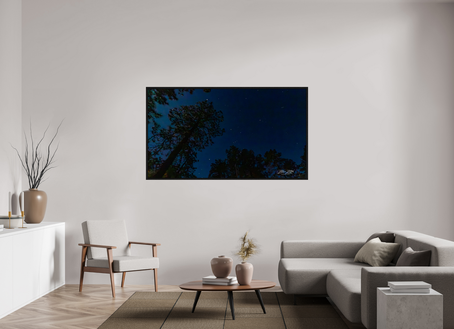 70 x 39.4″, Floater Frame Zillas zoom image 127