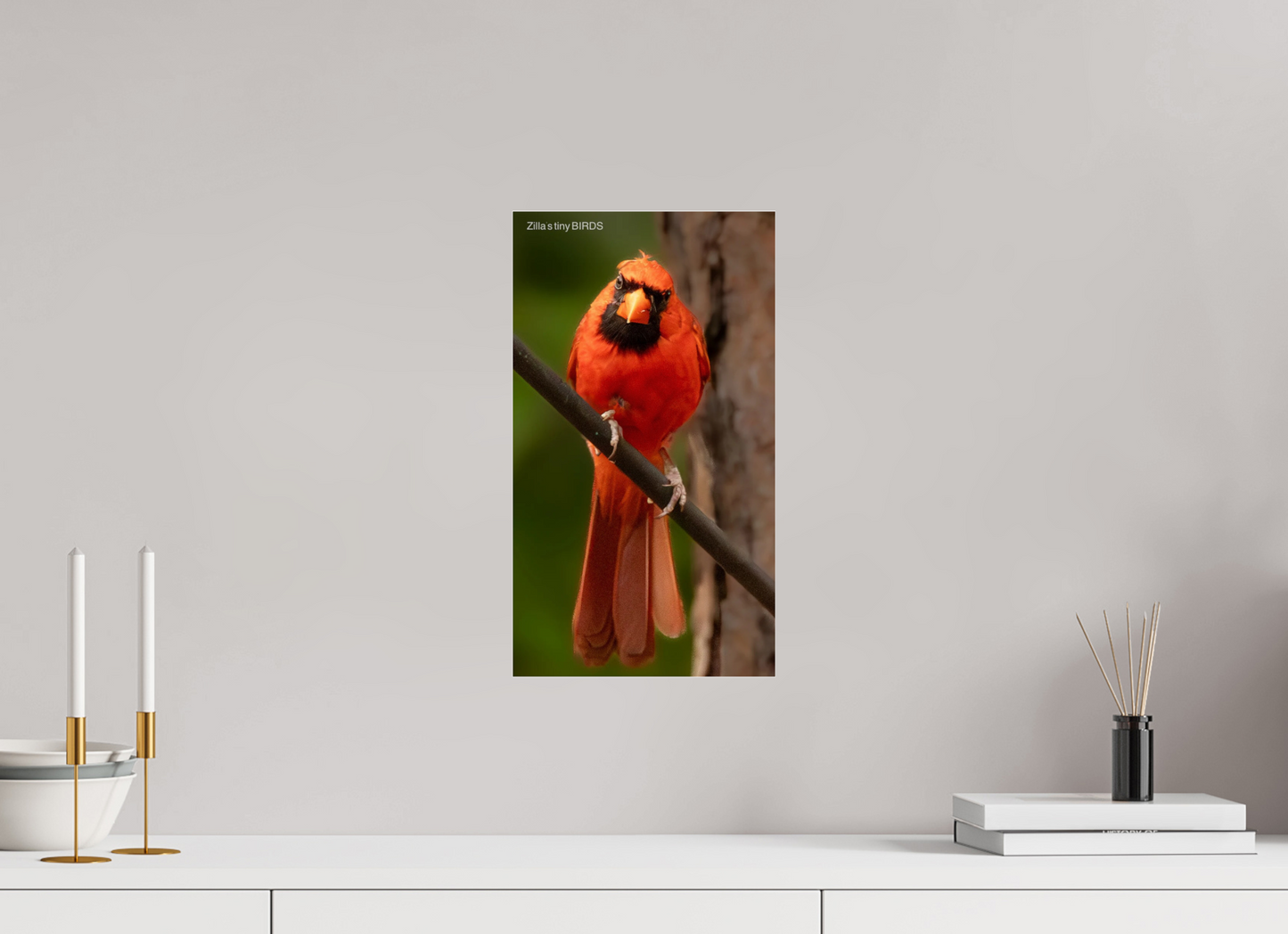 9 x 16″, Photo Print Under Acrylic Glass Zillas Zoom Image 484