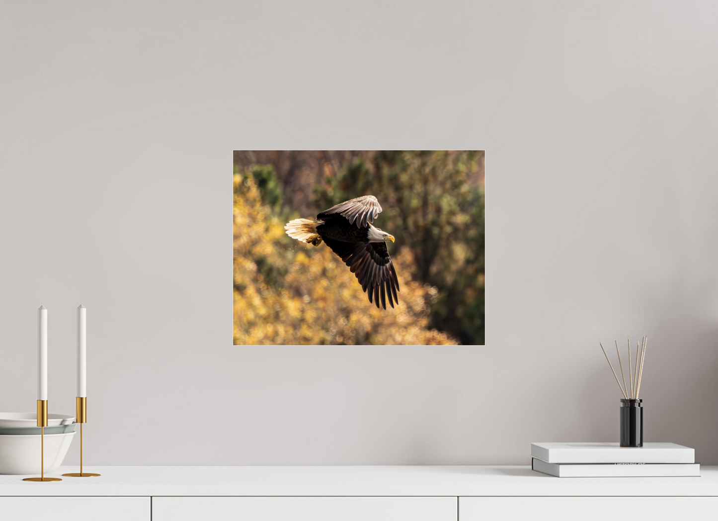 15.5 x 12″, Photo Print Under Acrylic Glass Zillas Zoom Image 395