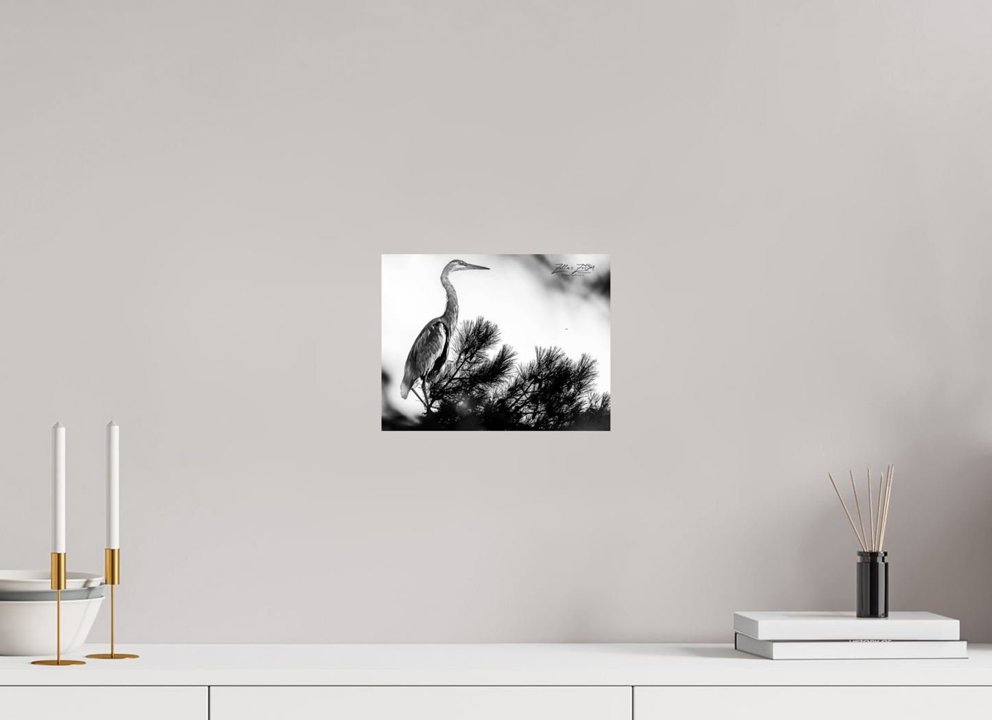 10.4 x 8″, Photo Print On Fuji Crystal DP II Zillas Zoom Image 298