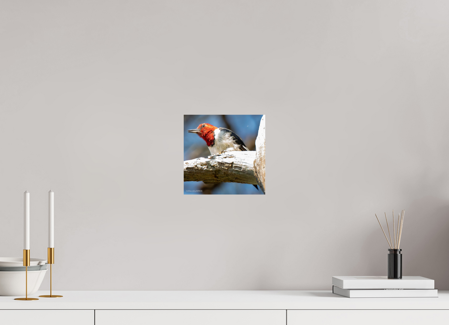 8.1 x 8″, Photo Print On Fuji Crystal DP II Zillas Zoom Image 273