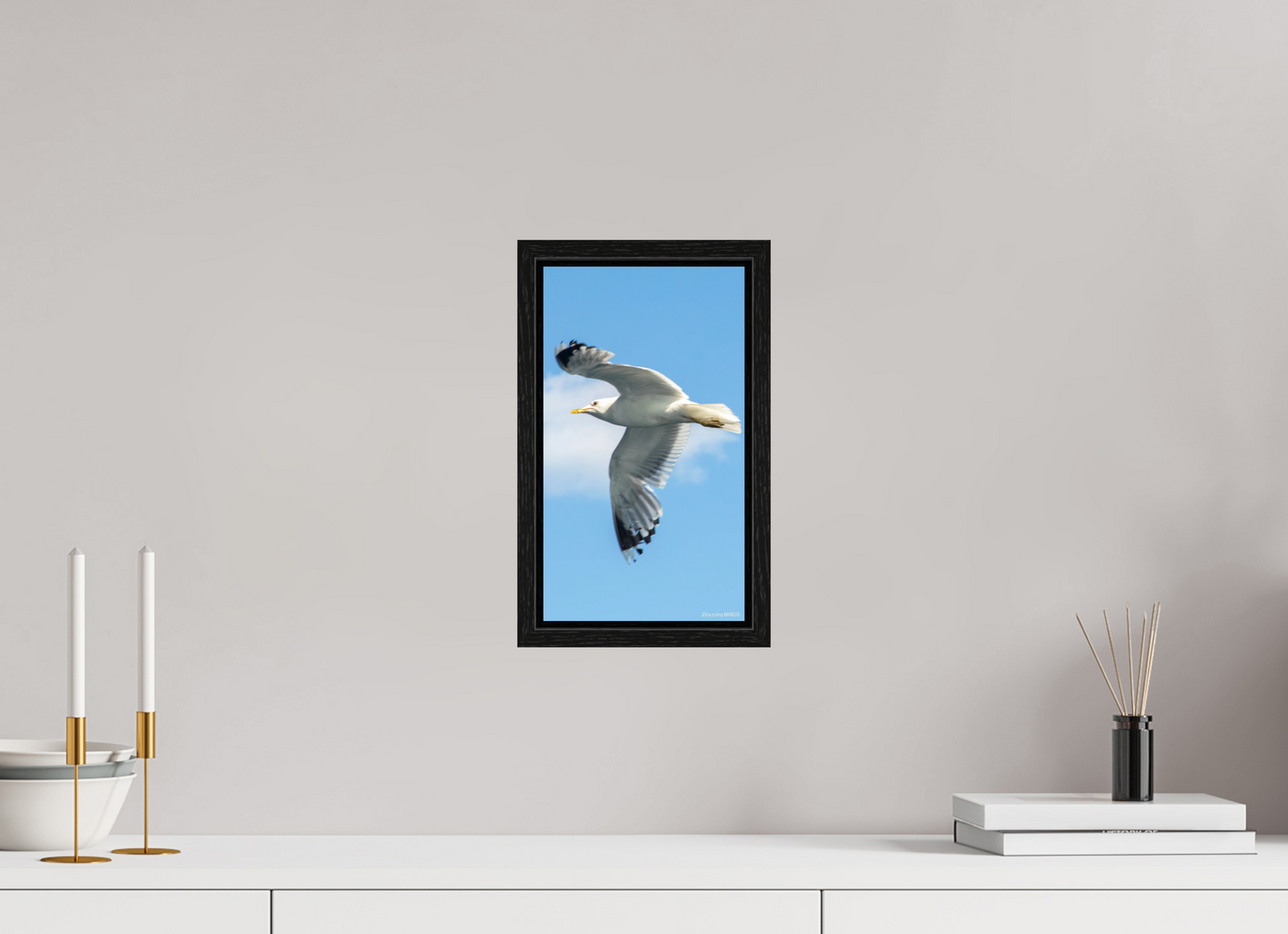 6.8 x 12″, Floater Frame Zillas Zoom Image 466
