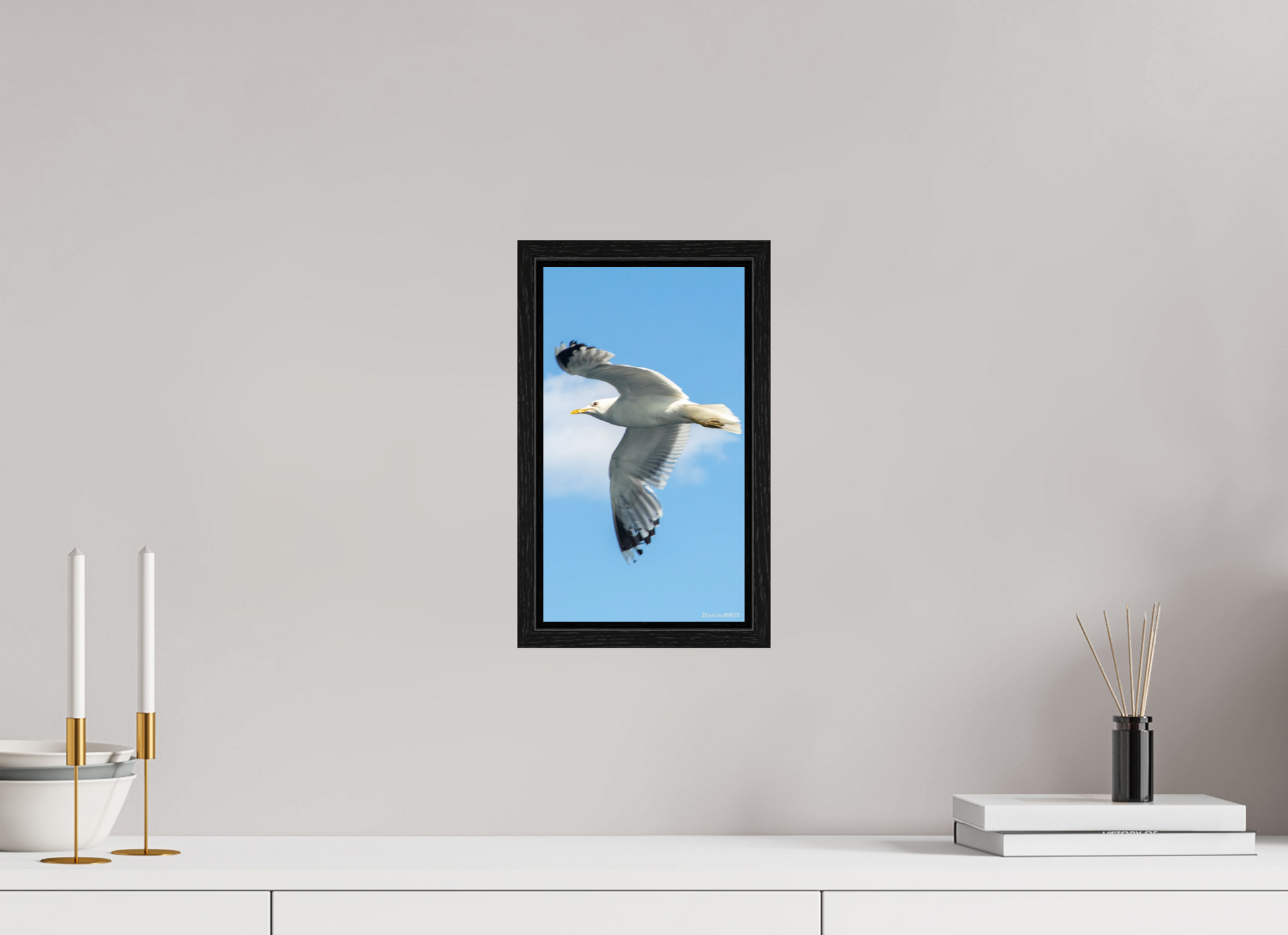 6.8 x 12″, Floater Frame Zillas Zoom Image 466