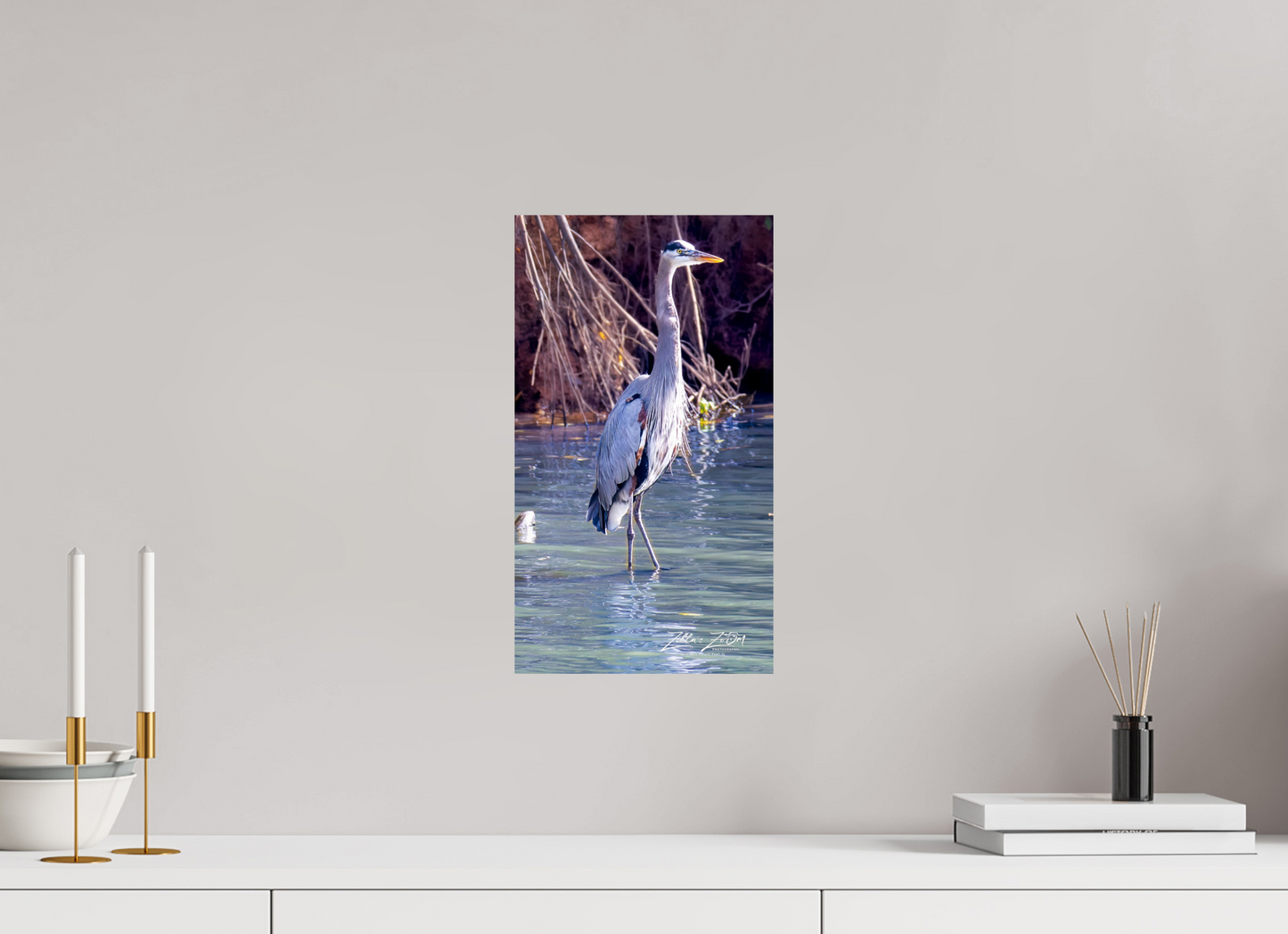 9 x 16″, Photo Print On Fuji Crystal DP II Zillas Zoom Image 429