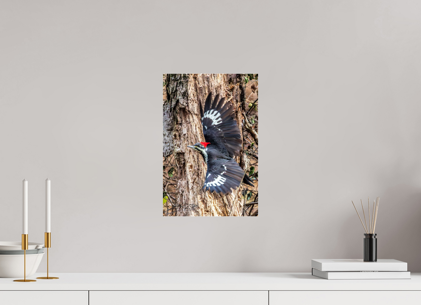 10 x 15″, Photo Print Under Acrylic Glass Zillas Zoom Image 418