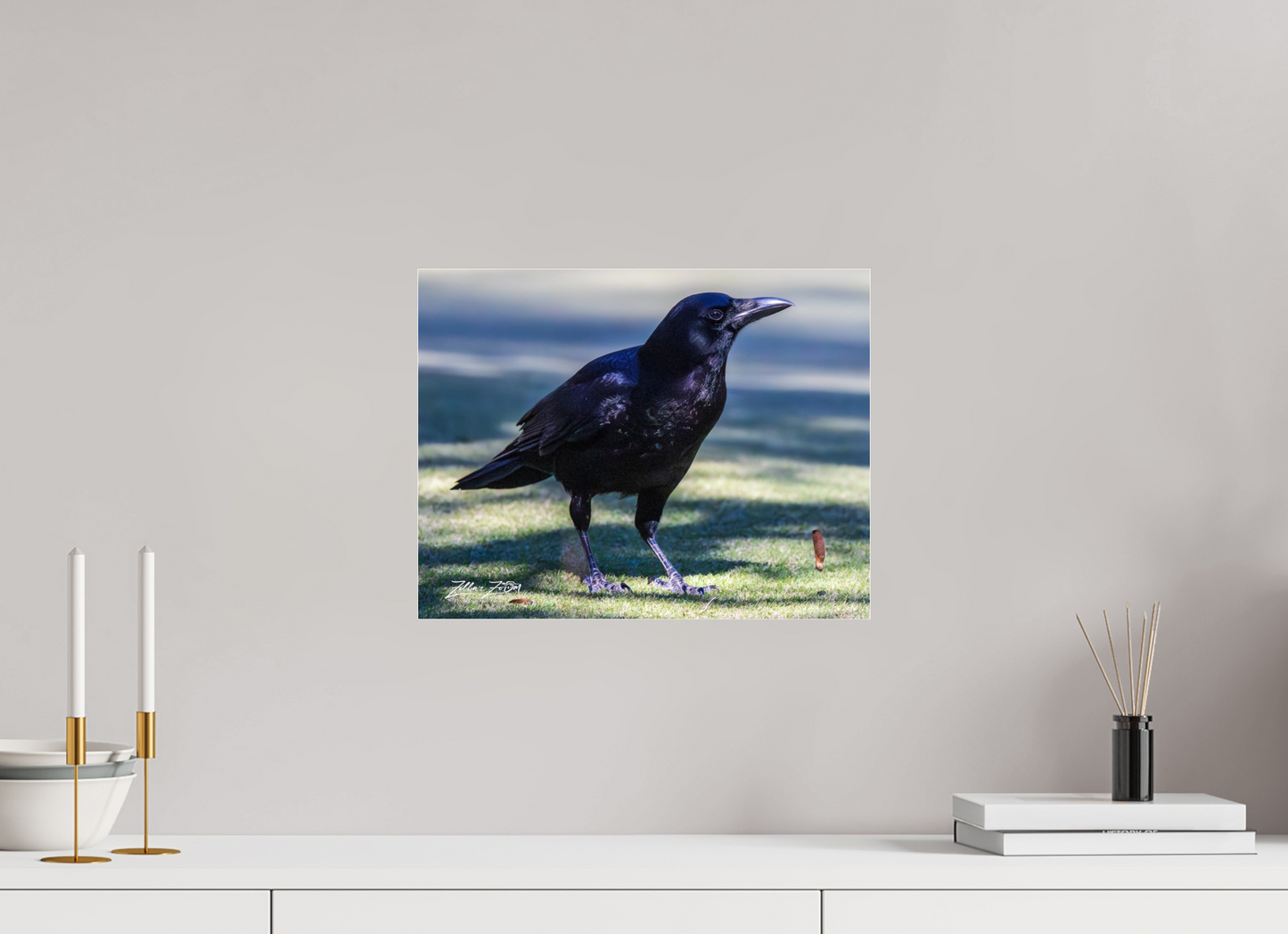 15.5 x 12″, Photo Print Under Acrylic Glass Zillas Zoom Image 322