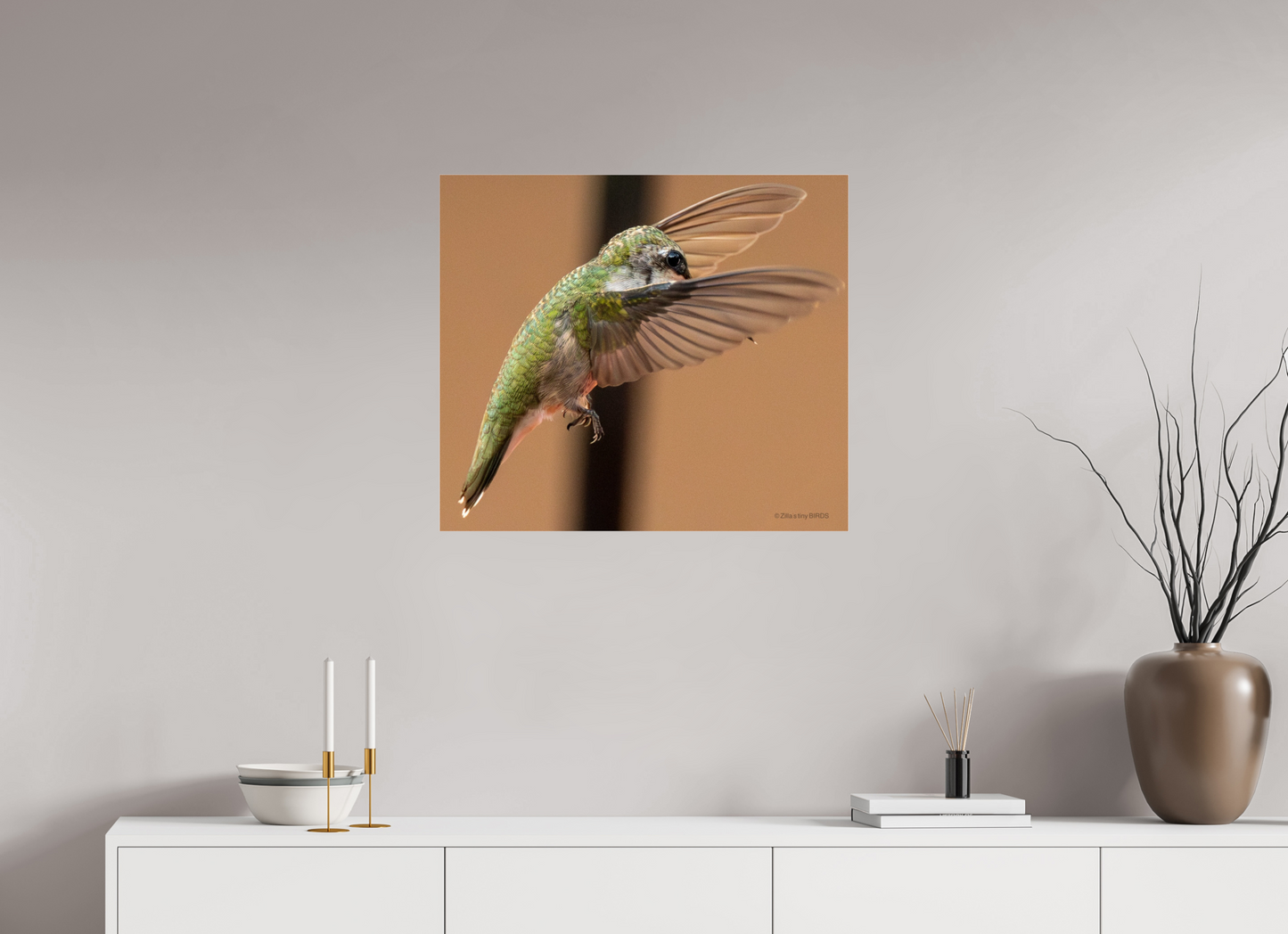 27.5 x 24″, Photo Print Under Acrylic Glass Zillas Zoom Image 376