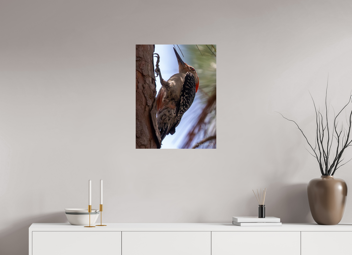 20 x 25.9″, Photo Print On Fuji Crystal DP II Zillas Zoom Image 474