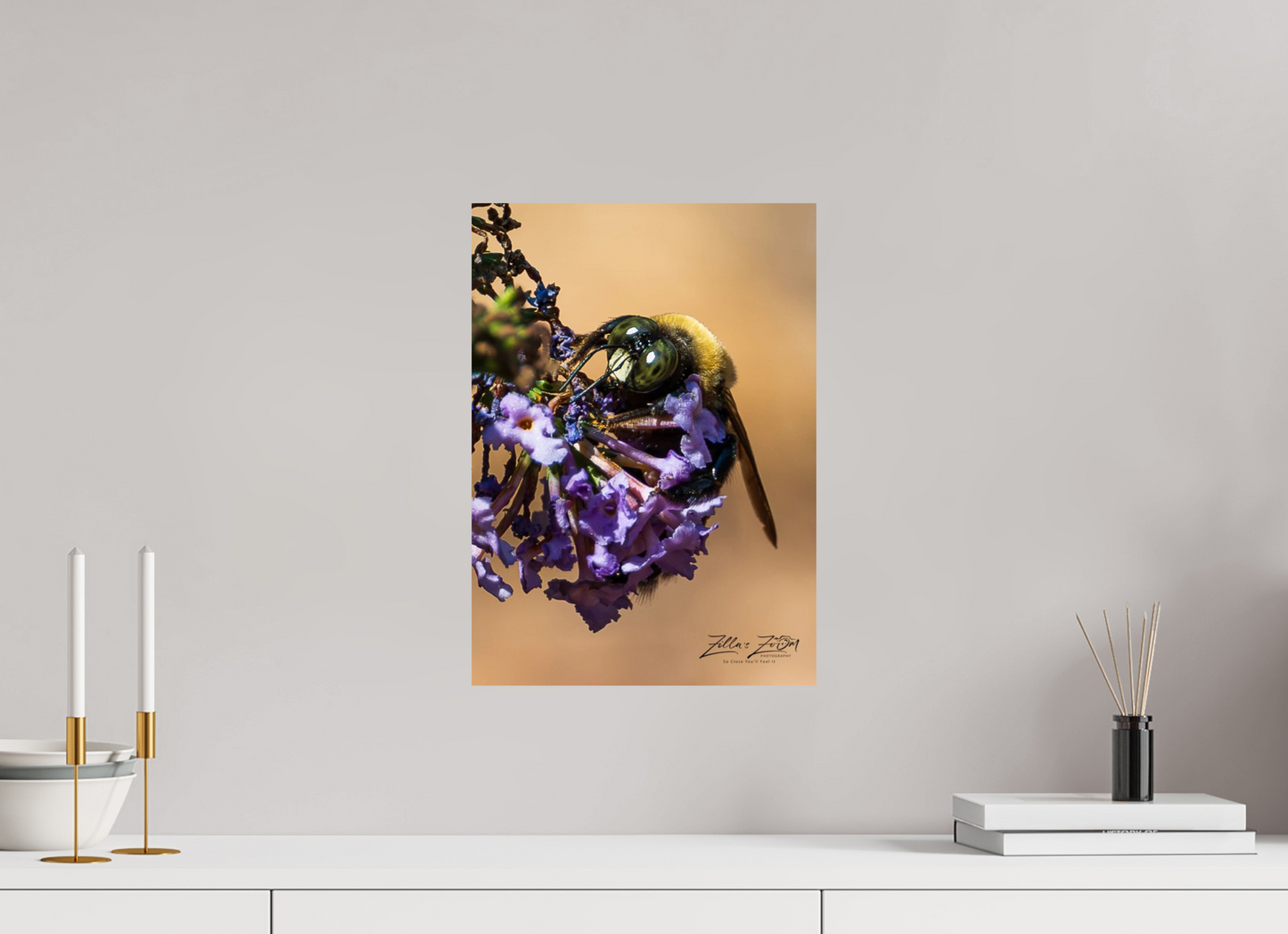 12 x 16.8″, Photo Print On Fuji Crystal DP II Zillas Zoom Image 107