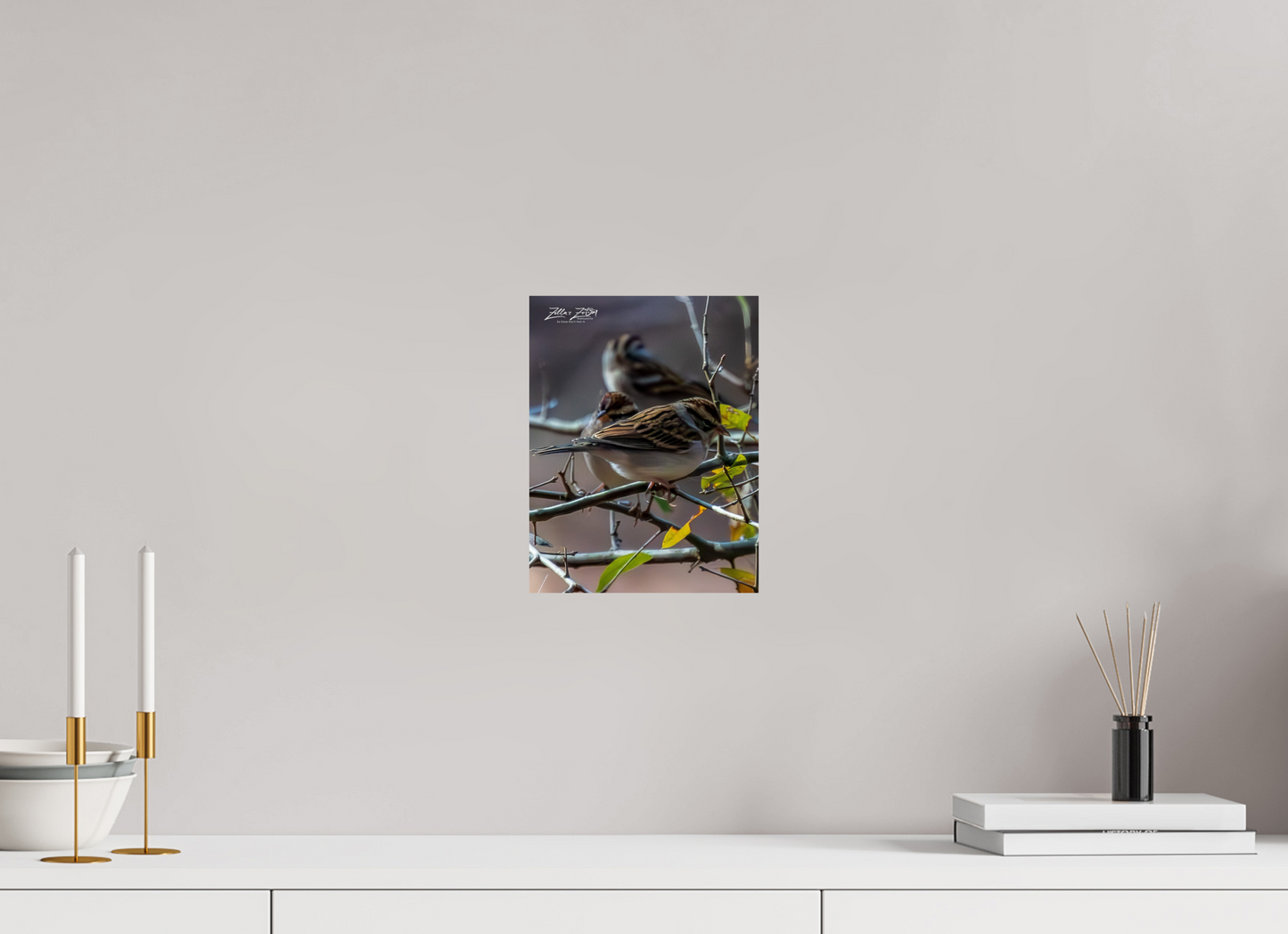 8 x 10.4″, Photo Print On Fuji Crystal DP II Zillas Zoom Image 427