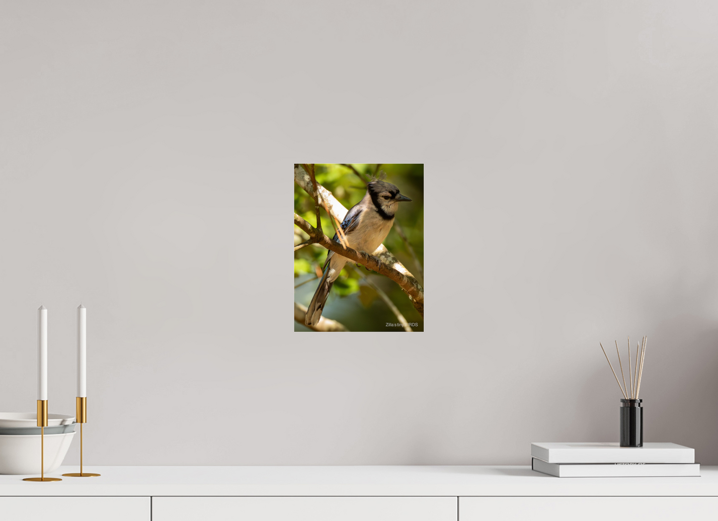 8 x 10.4″, Photo Print Under Acrylic Glass Zillas Zoom Image 519