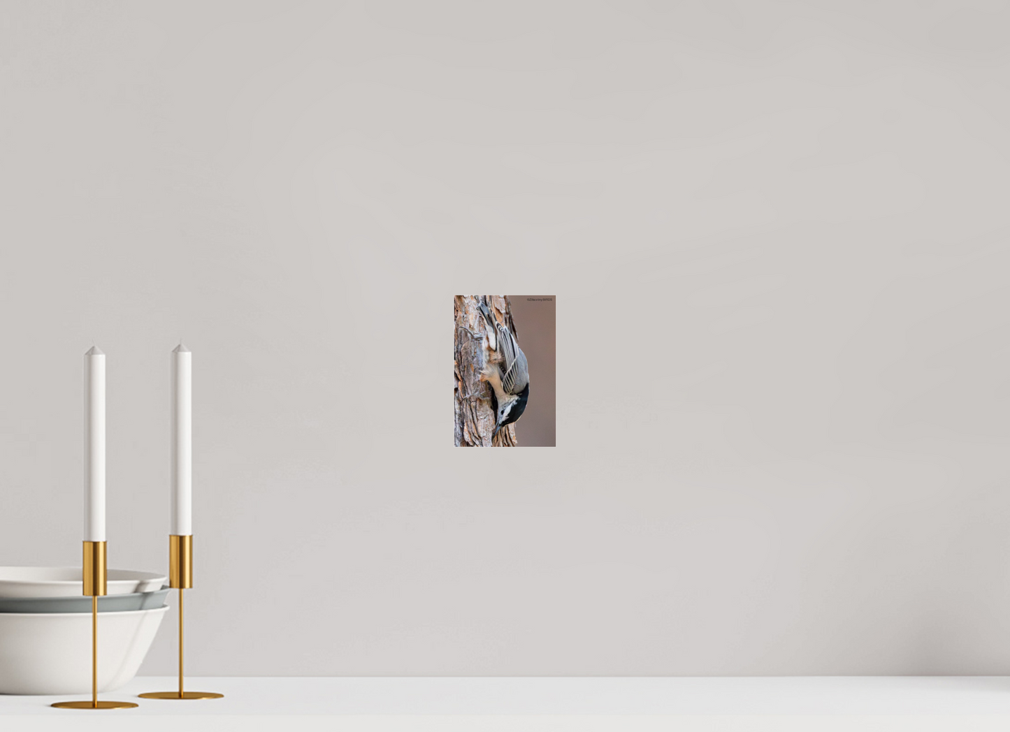 4 x 6″, Photo Print Under Acrylic Glass Zillas Zoom Image 432