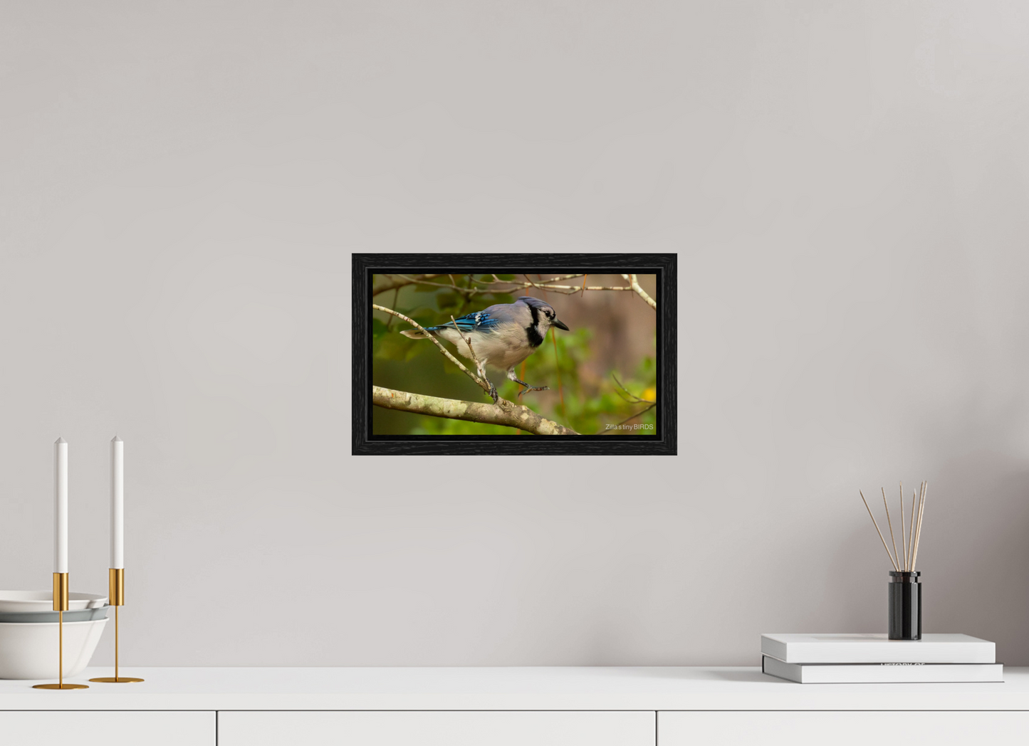 12 x 6.8″, Floater Frame Zillas Zoom Image 391