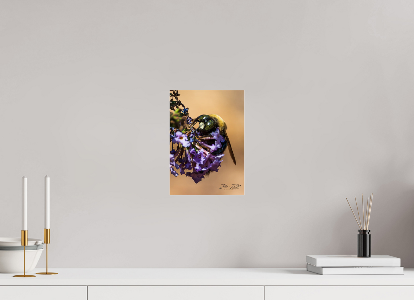 8 x 11.2″, Photo Print Under Acrylic Glass Zillas Zoom Image 107