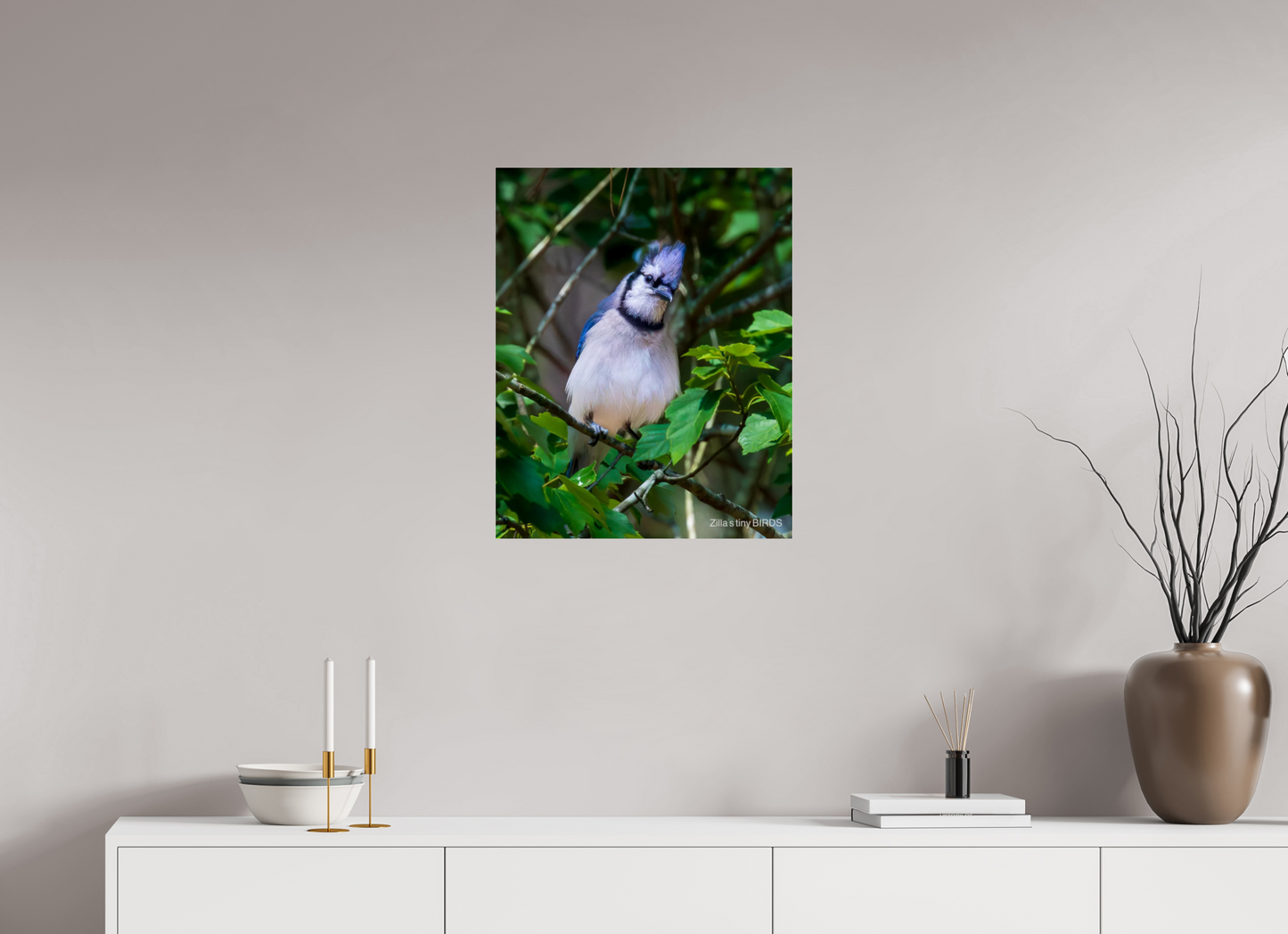 20 x 25″, Photo Print Under Acrylic Glass Zillas Zoom Image 497