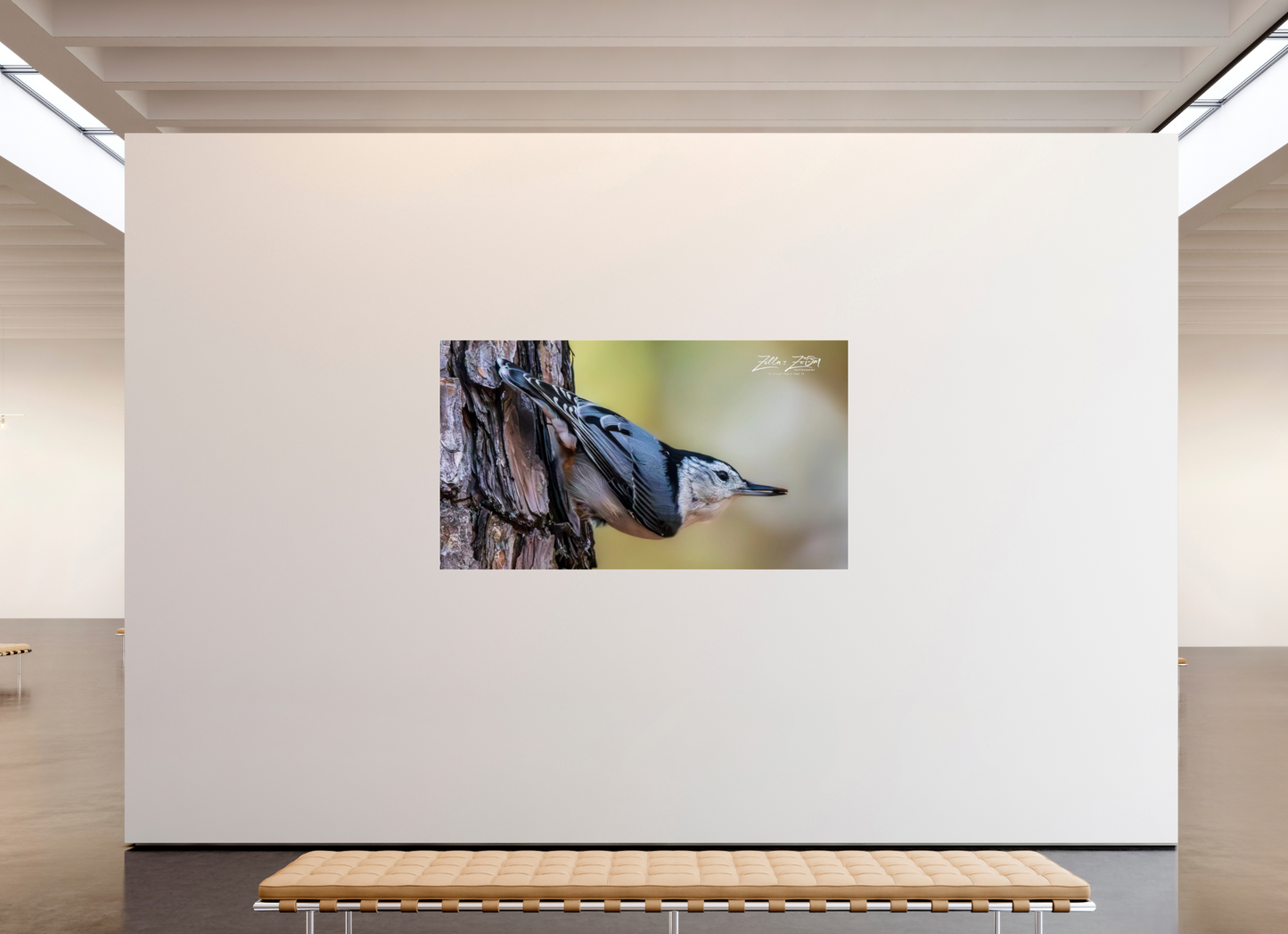 80 x 45″, Photo Print Under Acrylic Glass Zillas Zoom Image 326