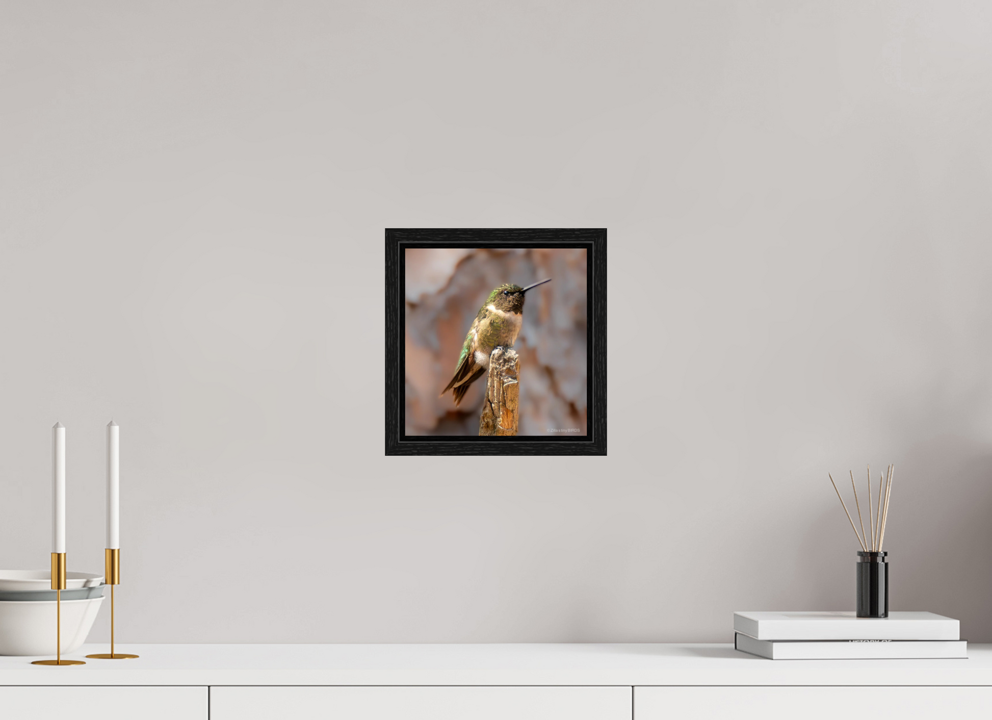 8 x 8.2″, Floater Frame Zillas Zoom Image 450