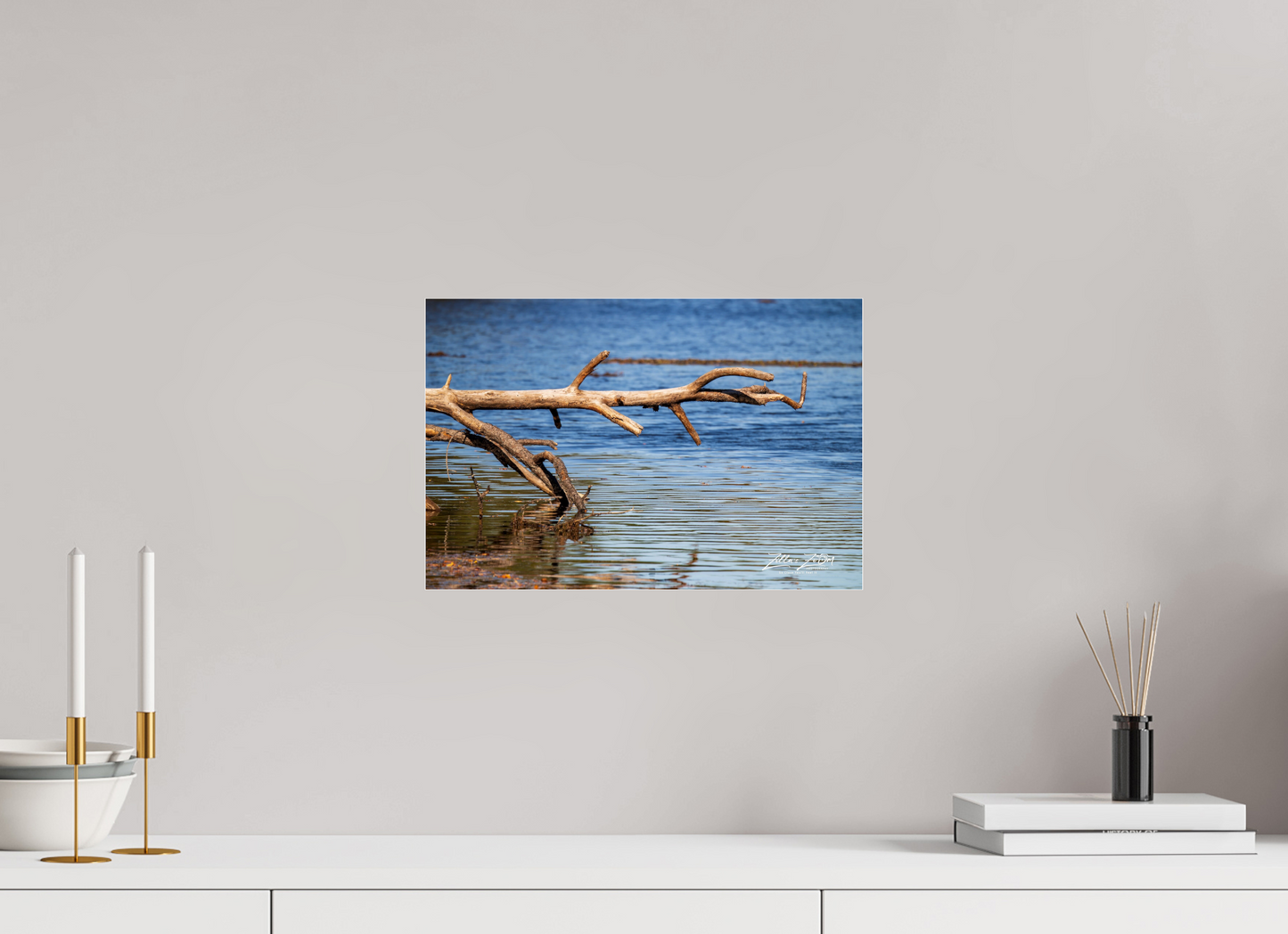 15 x 10″, Photo Print Under Acrylic Glass Zillas Zoom Image 213