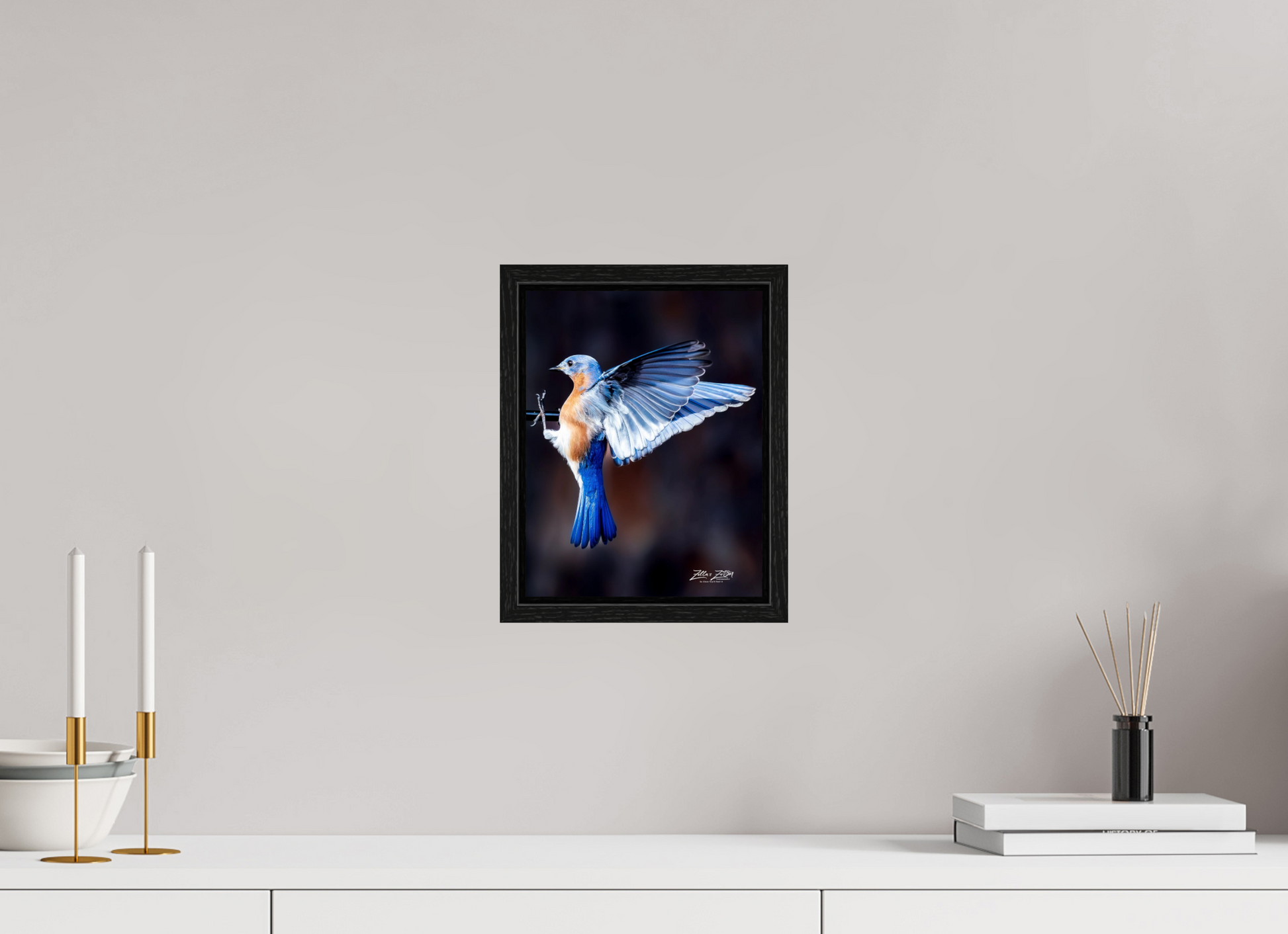 8 x 10.4″, Floater Frame Zillas Zoom Image 513
