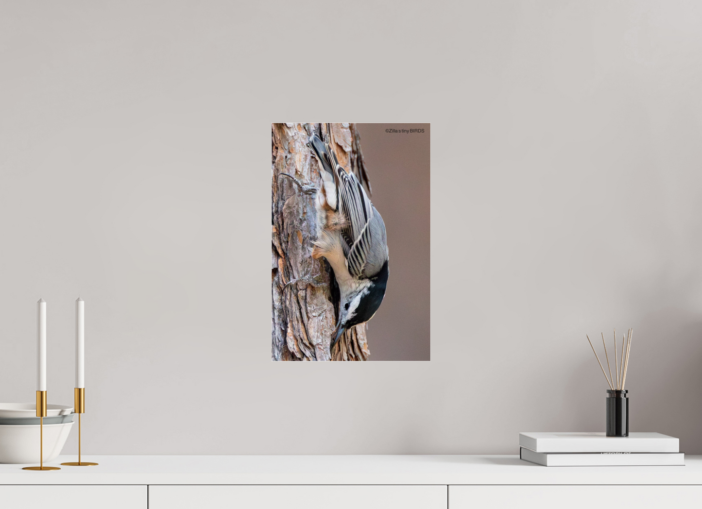 10 x 15″, Photo Print Under Acrylic Glass Zillas Zoom Image 432